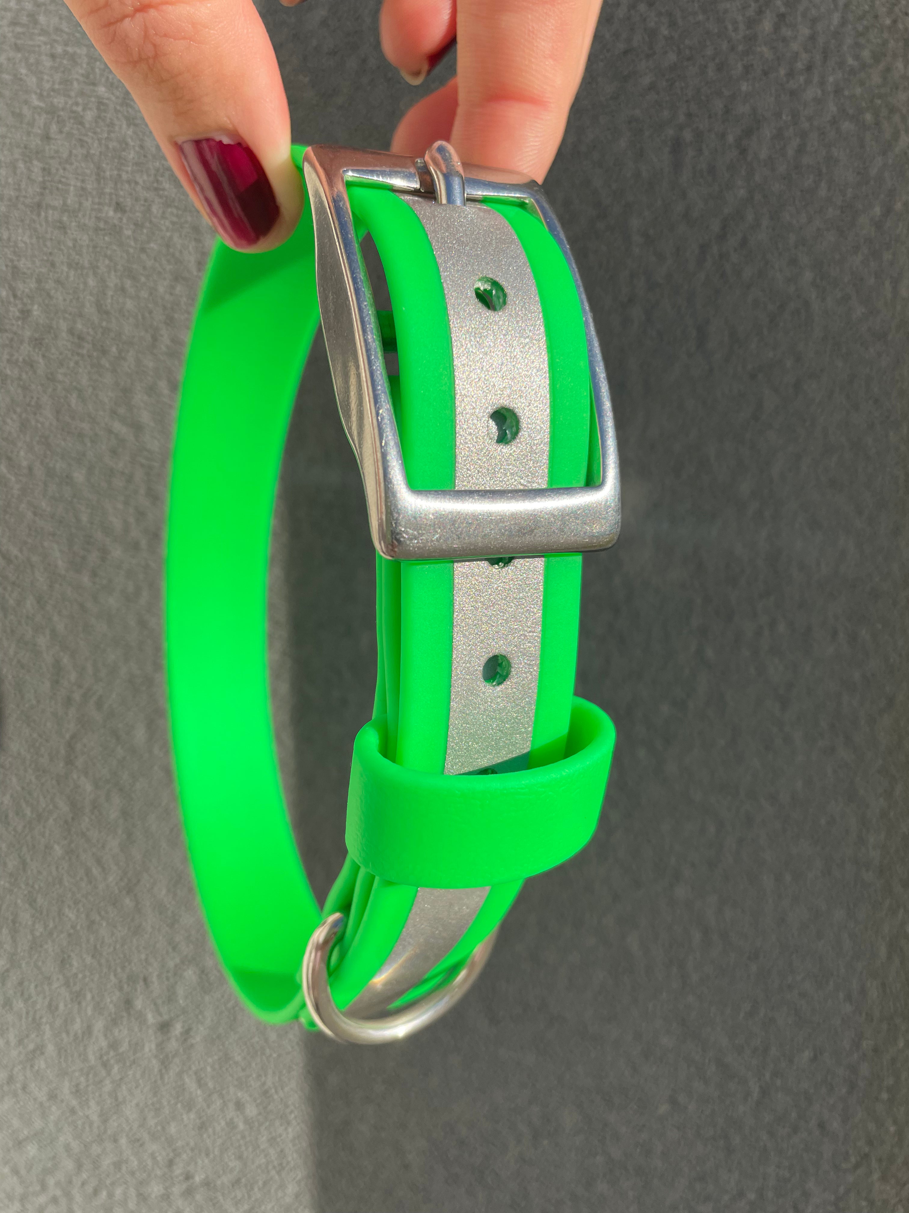 Reflective Dog Collar