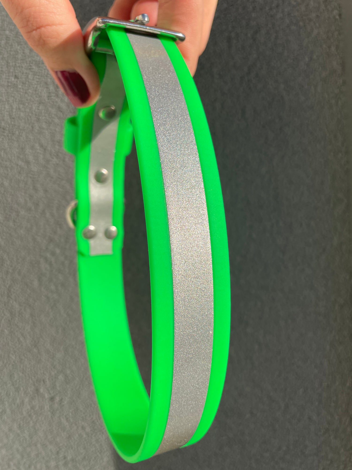 Reflective Dog Collar