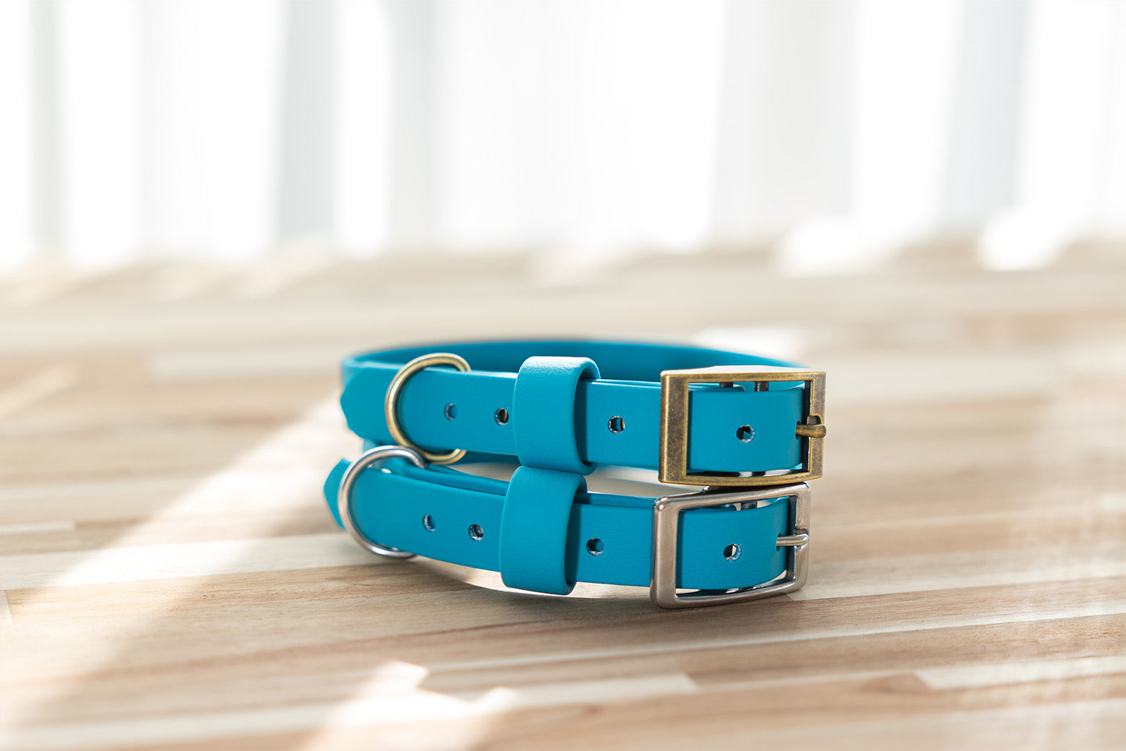 Standard Biothane Dog Collar