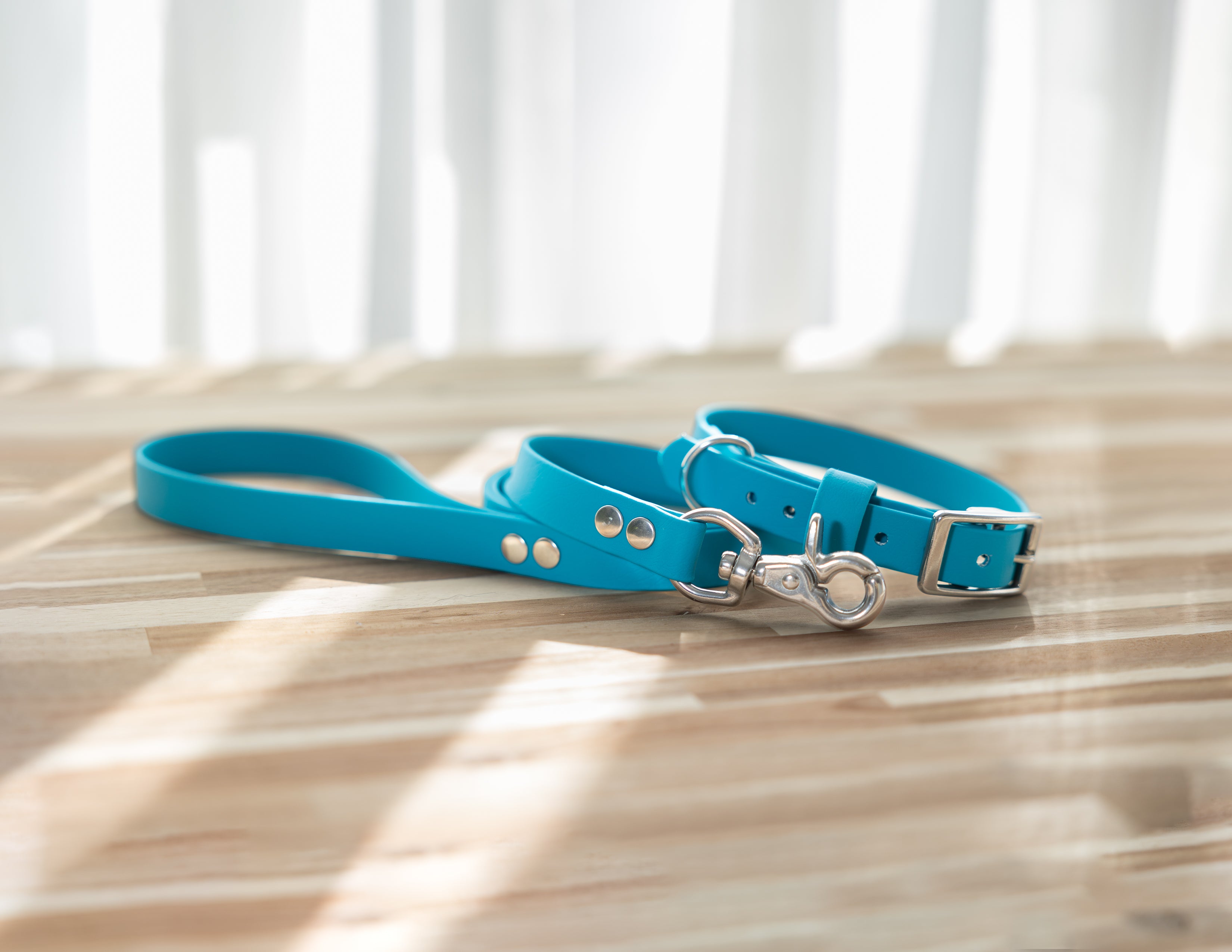 BioThane Collar & Lead Bundle - Lagune