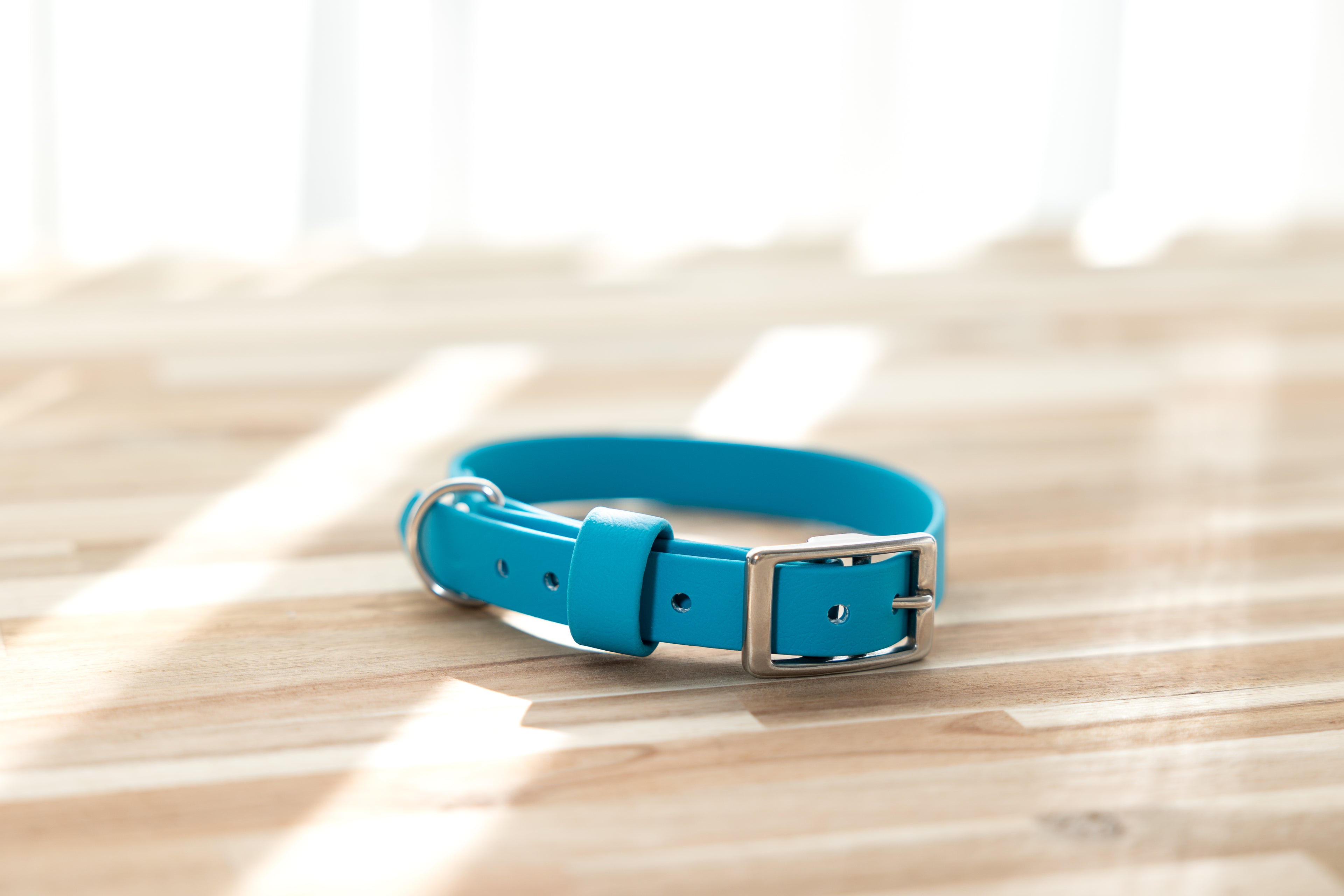 BioThane Collar & Lead Bundle - Lagune