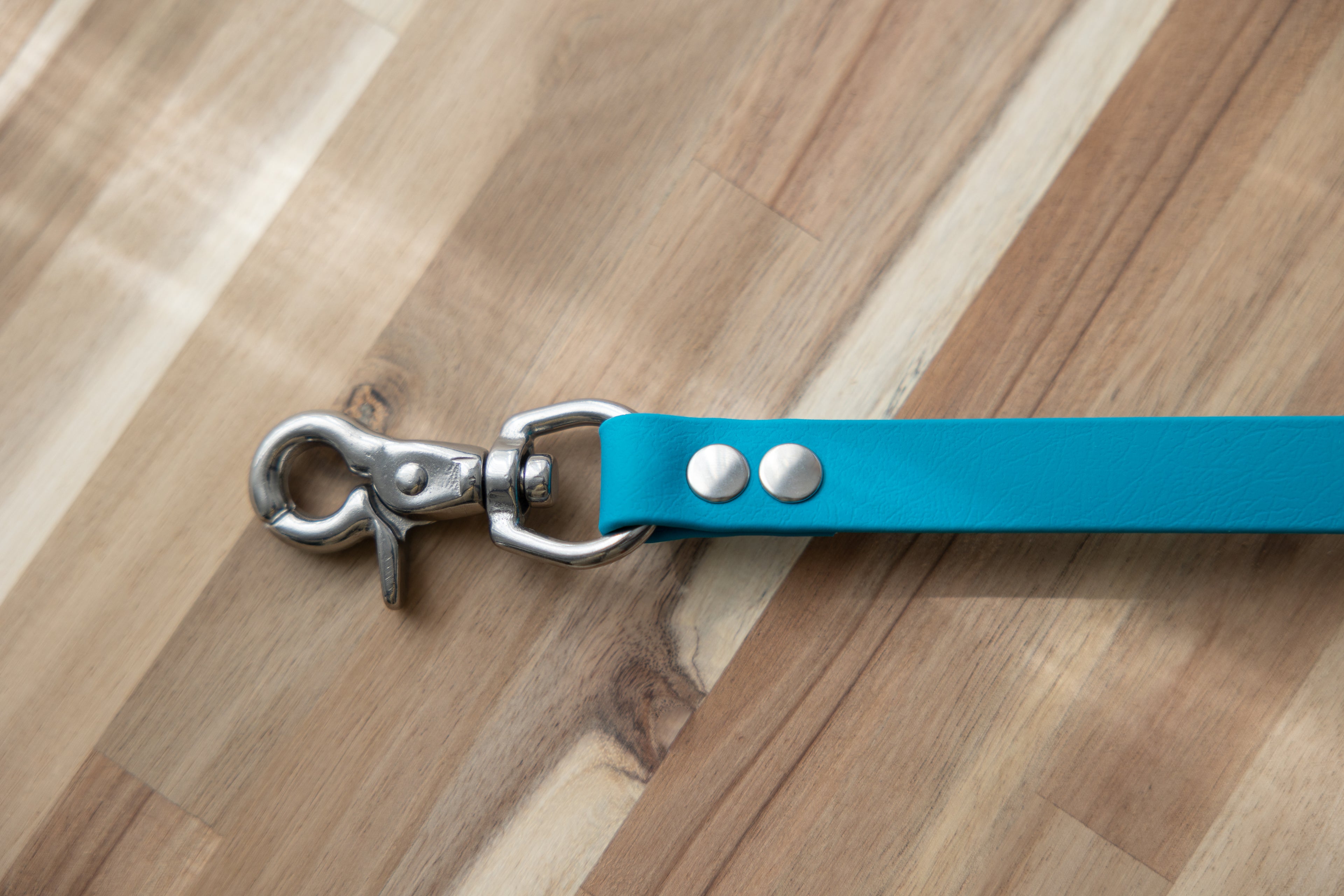 BioThane Collar & Lead Bundle - Lagune