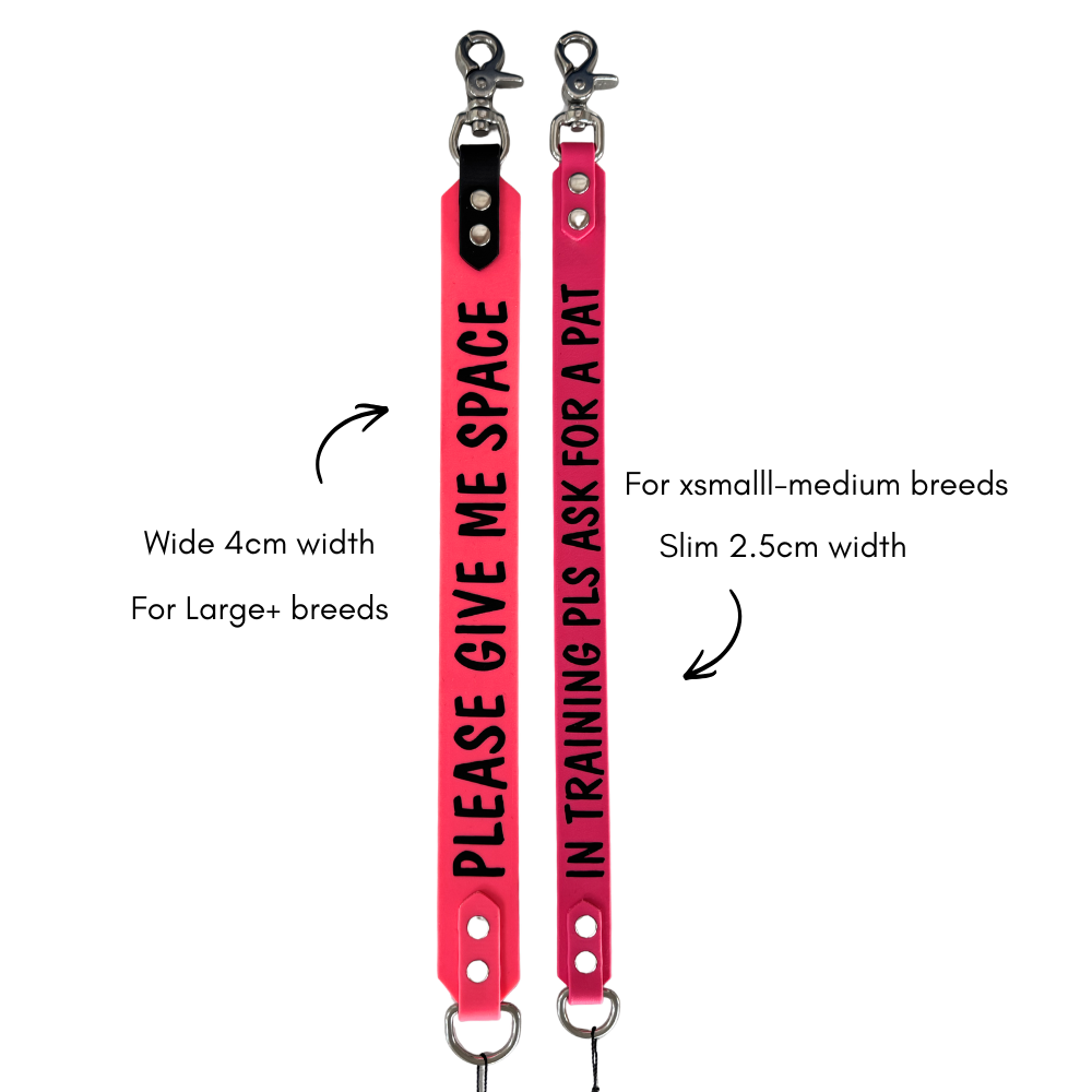 Leash extender