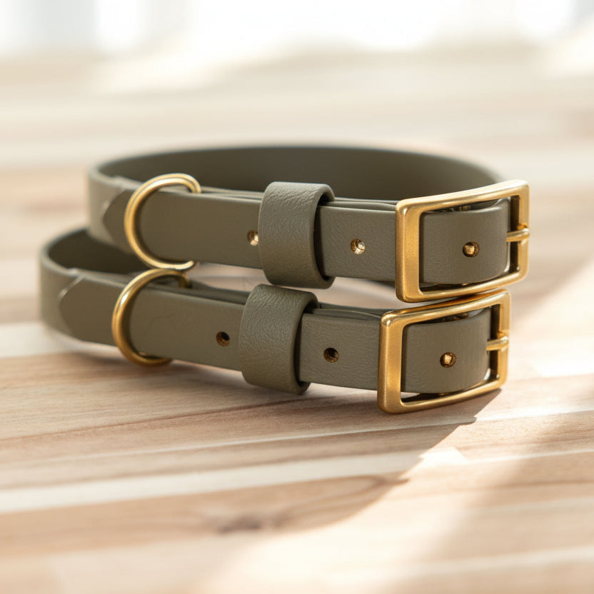Two moss biothane dog collars with brass buckles on a wooden surface.
