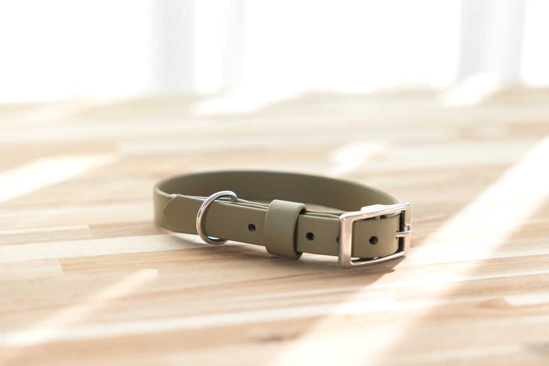 Waterproof Dog Collar - BioThane® Moss
