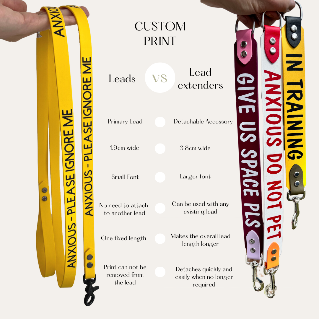 Custom Print Dog Leash