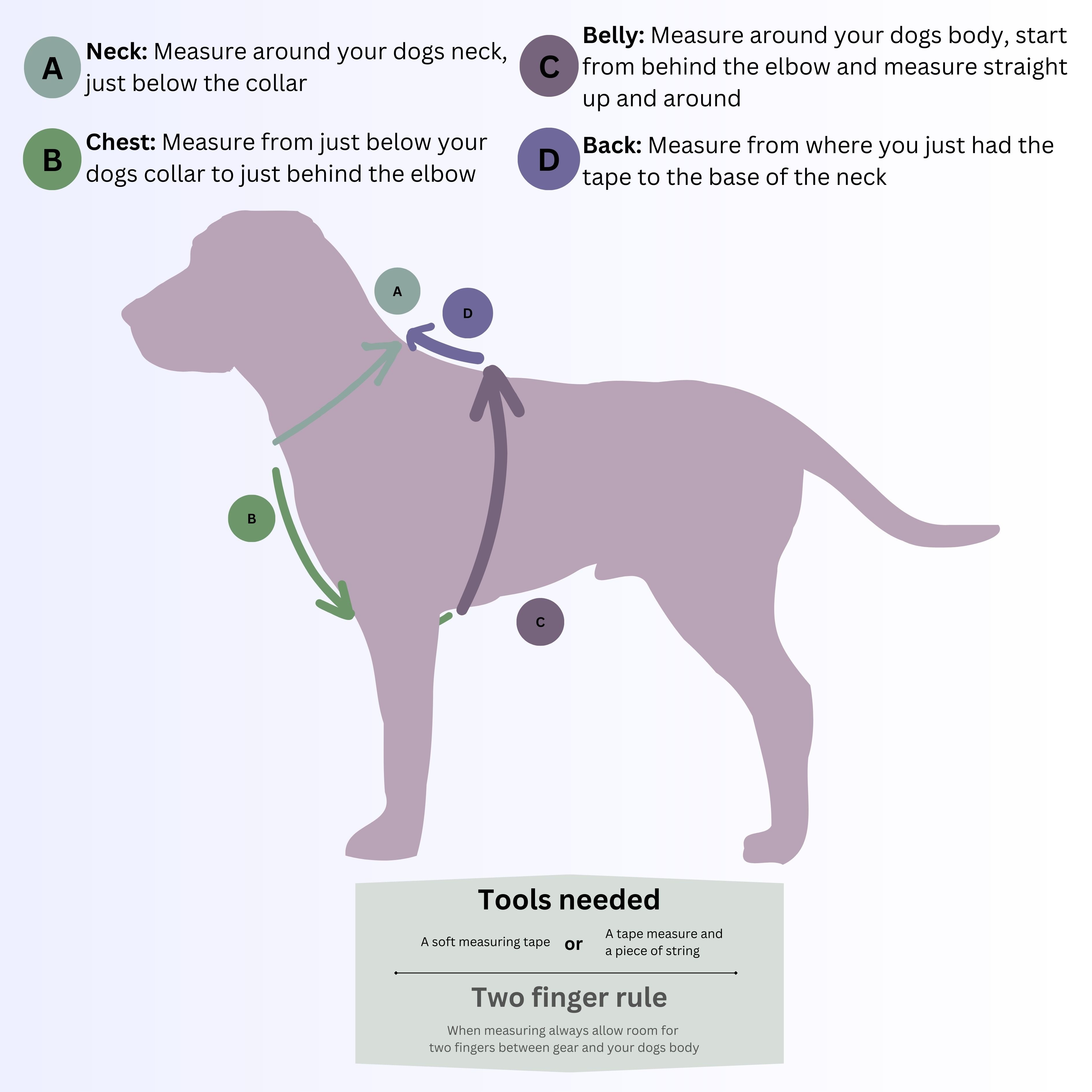 Custom BioThane Dog Harness &