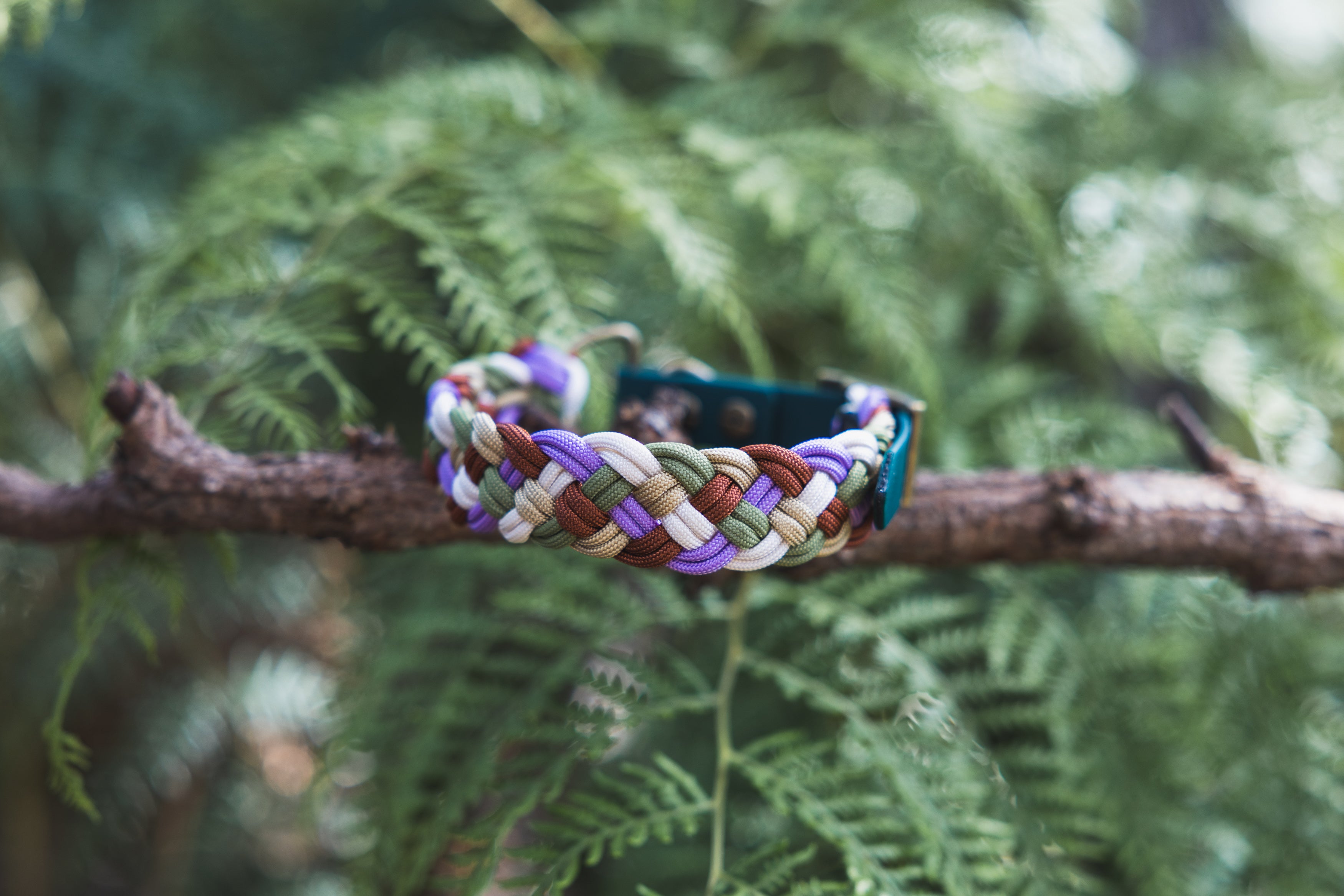 A multi-colored braided dog collar displayed on a wooden branch with green foliage in the background.