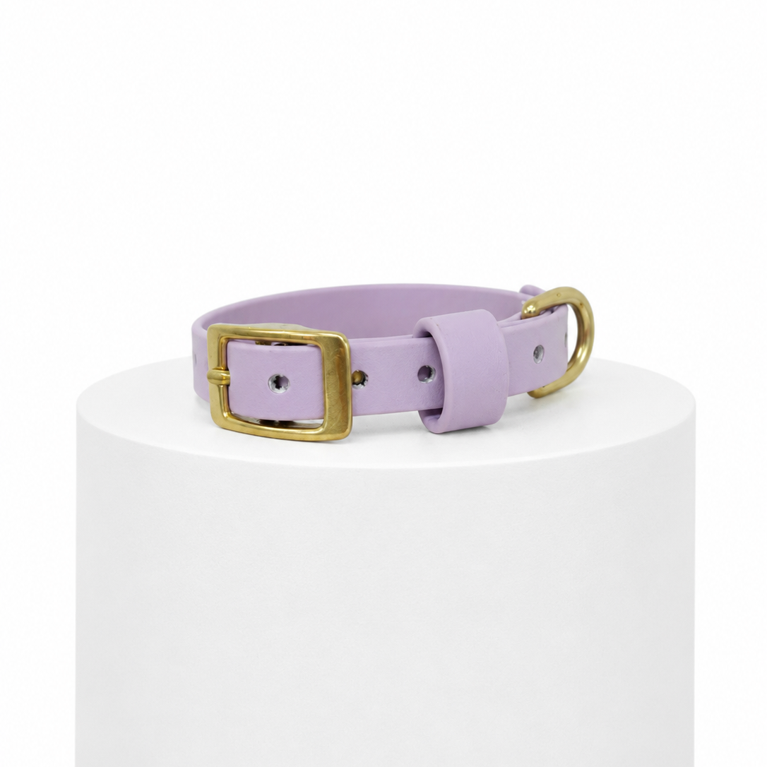 Biothane Puppy Collar