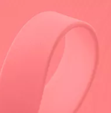 Long Line - BioThane® Lead
