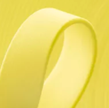 Waterproof BioThane® Dog Collar