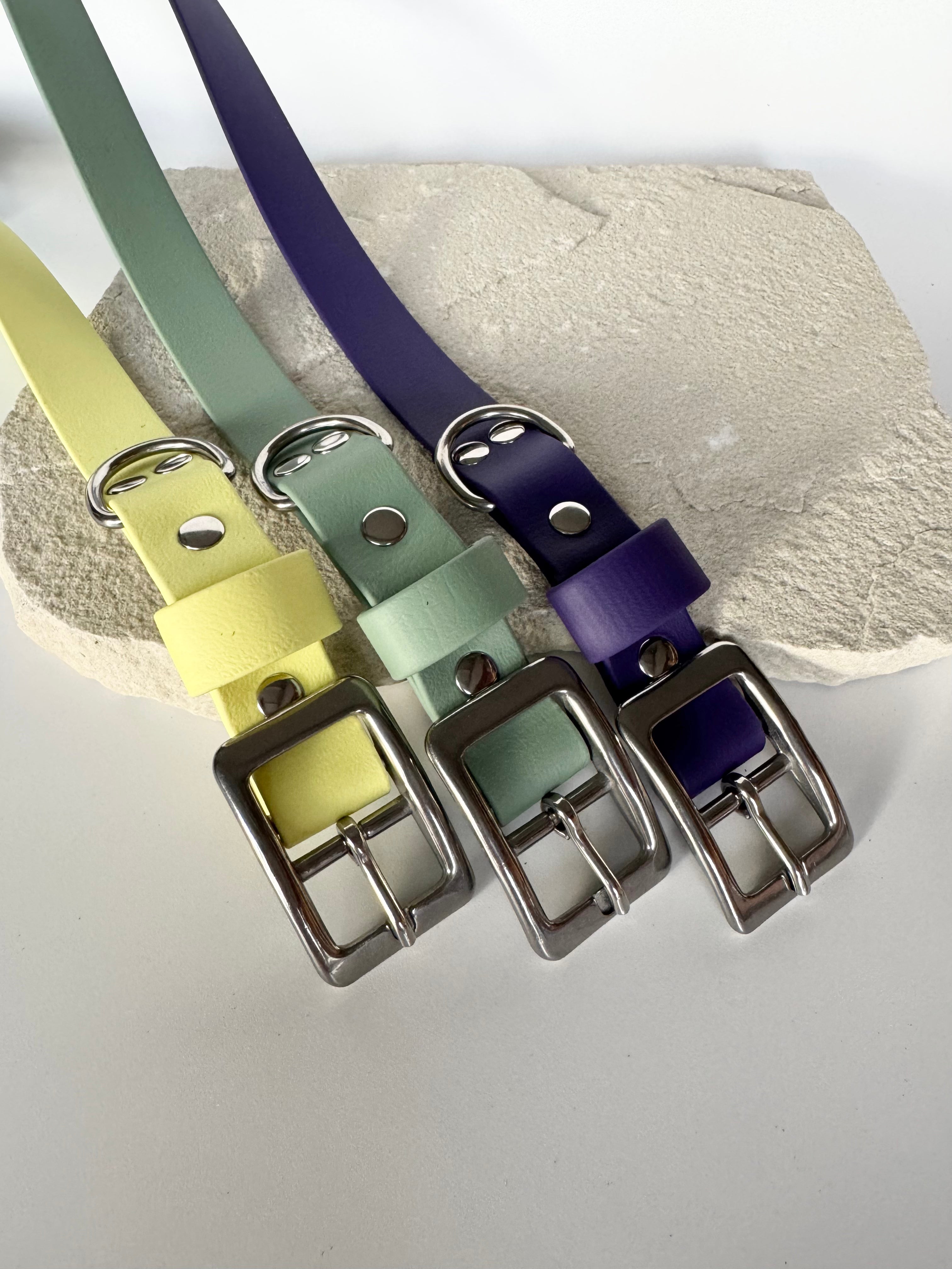 Three colorful dog collars with metal buckles on a textured surface