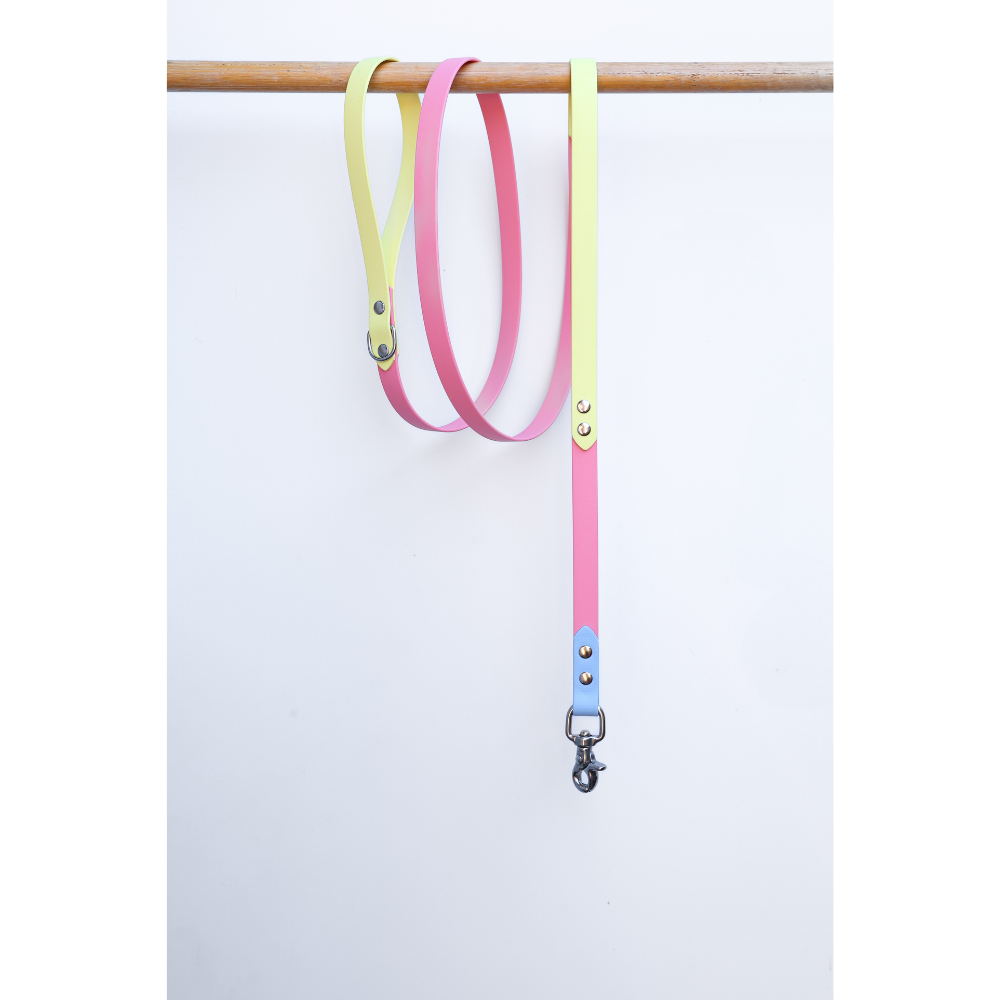 Two tone colorful dog leash on a wooden rod against a white background