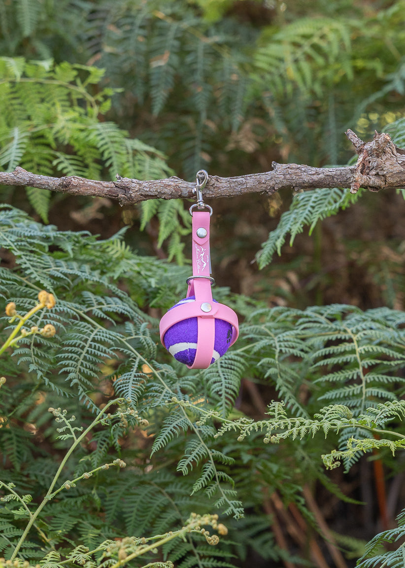 Biothane Dog Ball Holder