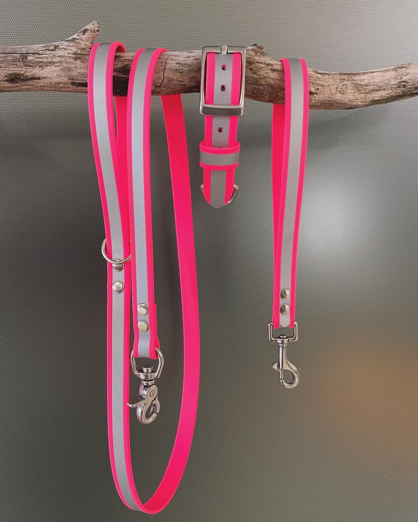 Reflective Dog Collar