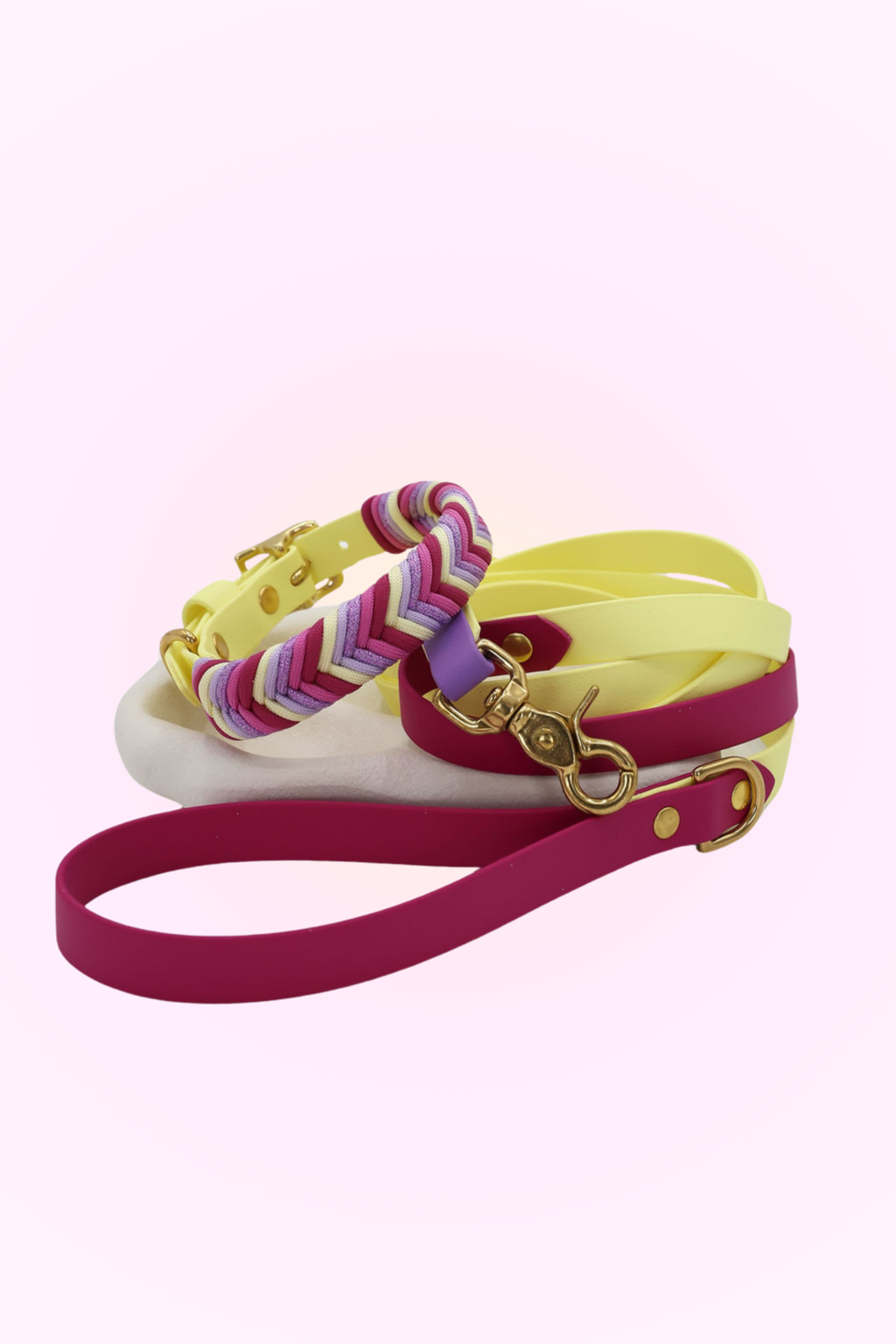 Rainbow inspired dog collar and lead made of biothane and paracord