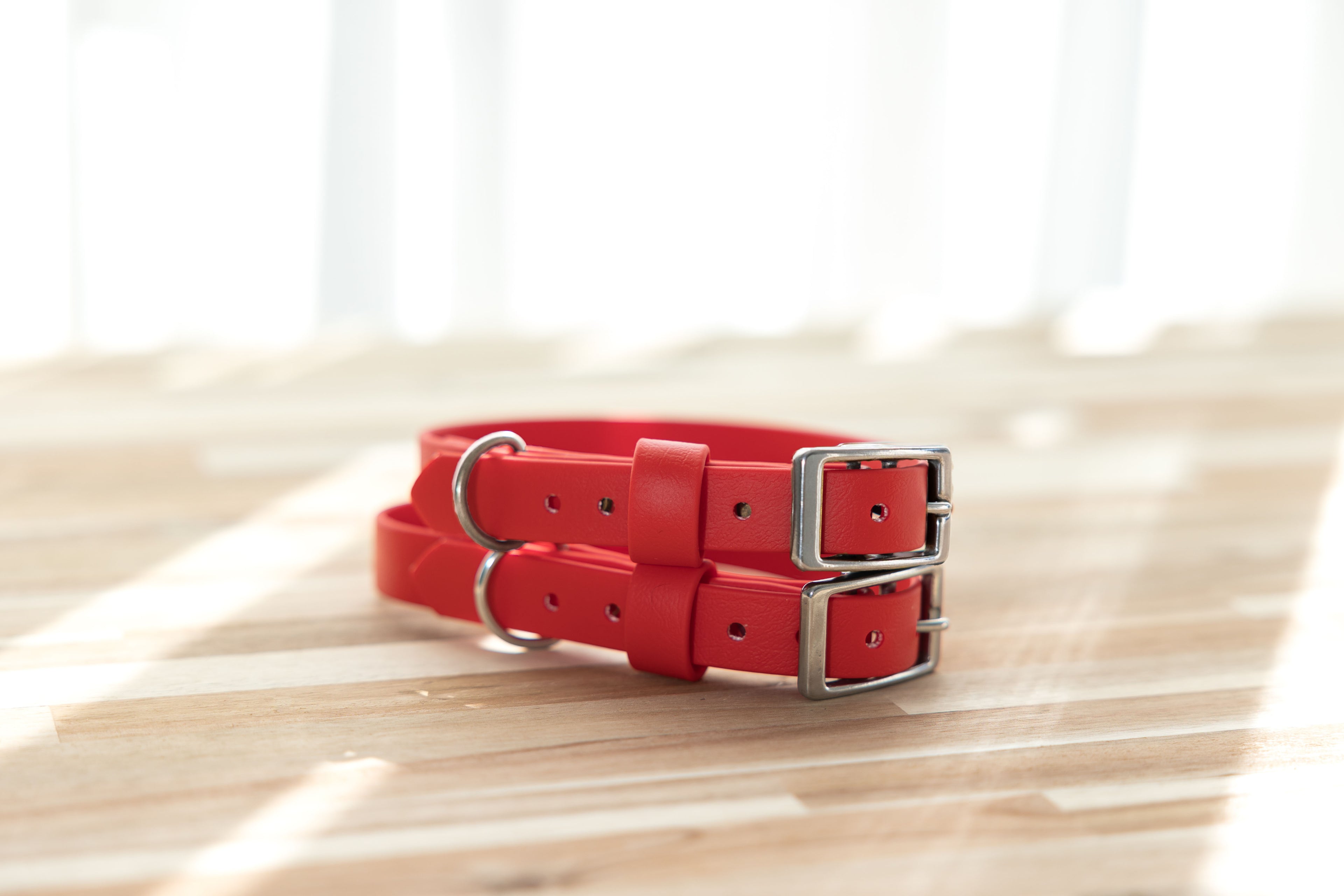 Waterproof BioThane® Dog Collar