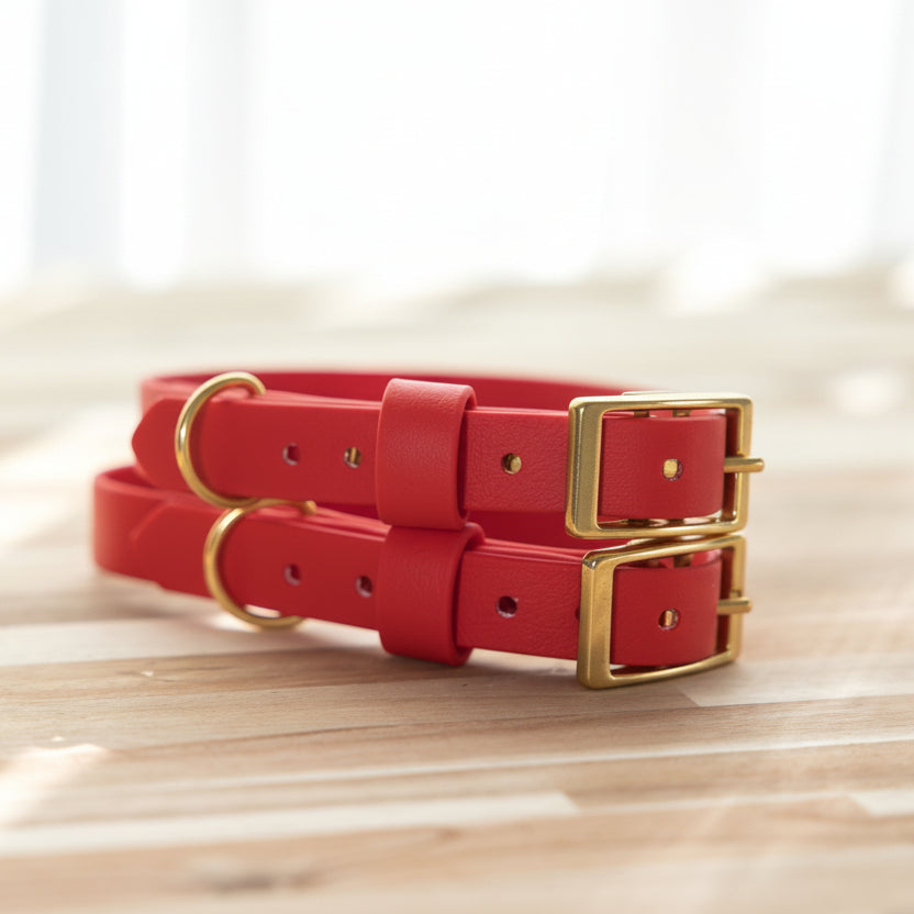 Red dog collar with silver buckle on a wooden surface
