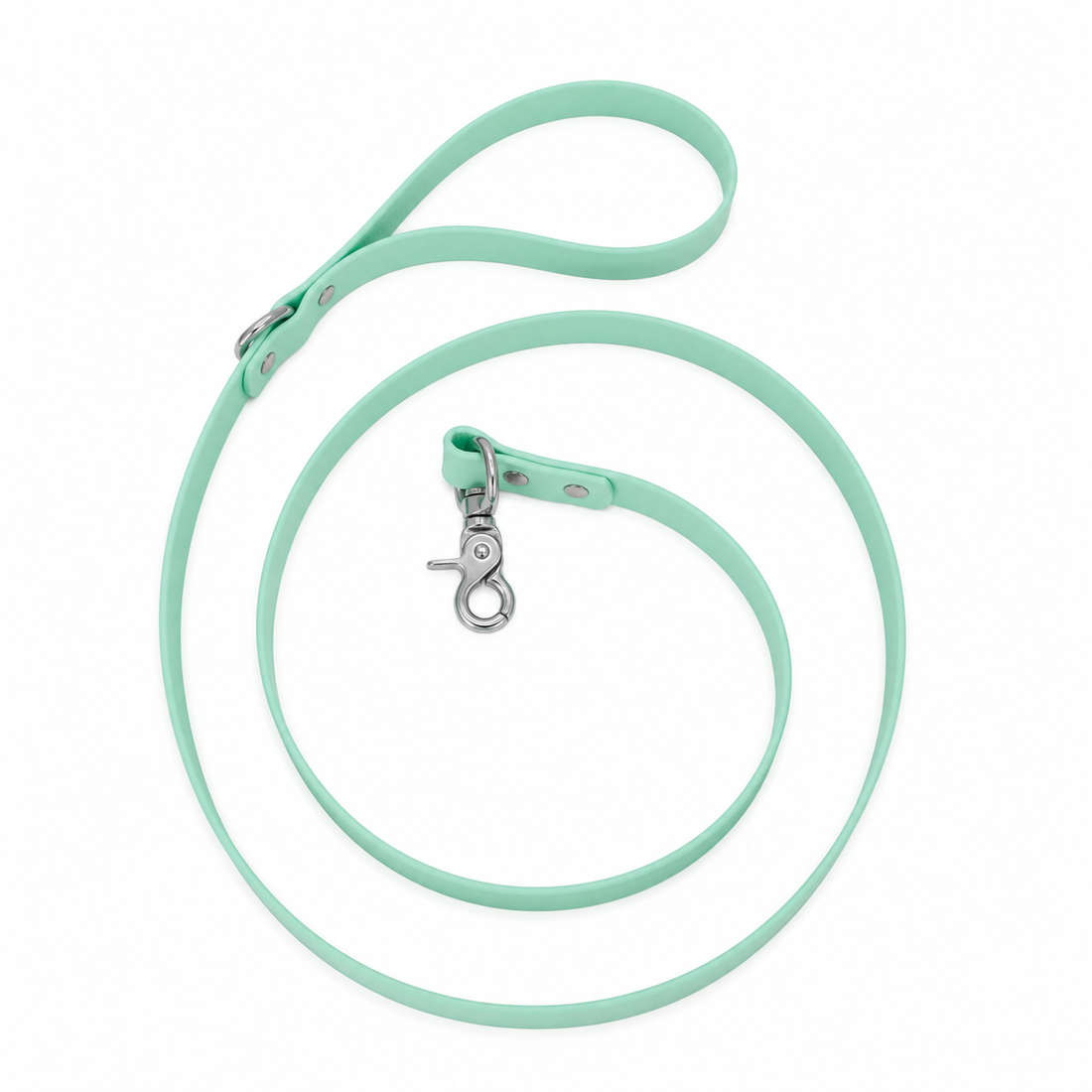 Waterproof BioThane® Dog Leash Seafoam