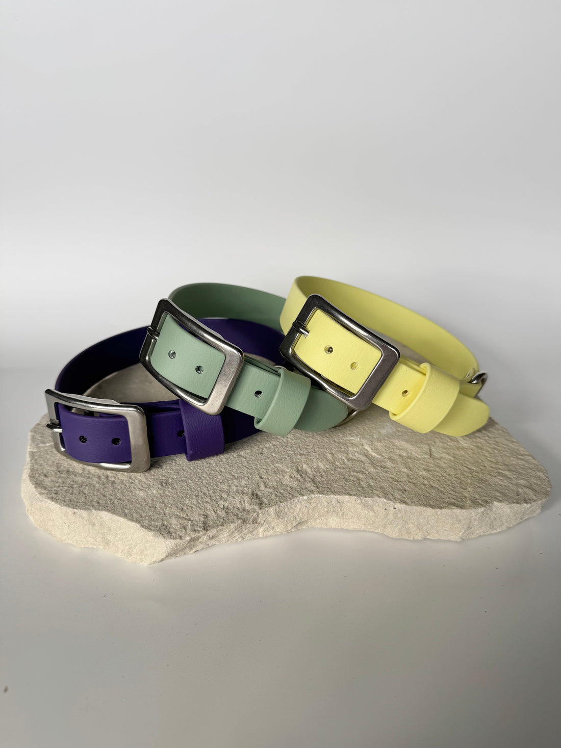 Three colorful dog collars on a stone surface with a light gray background