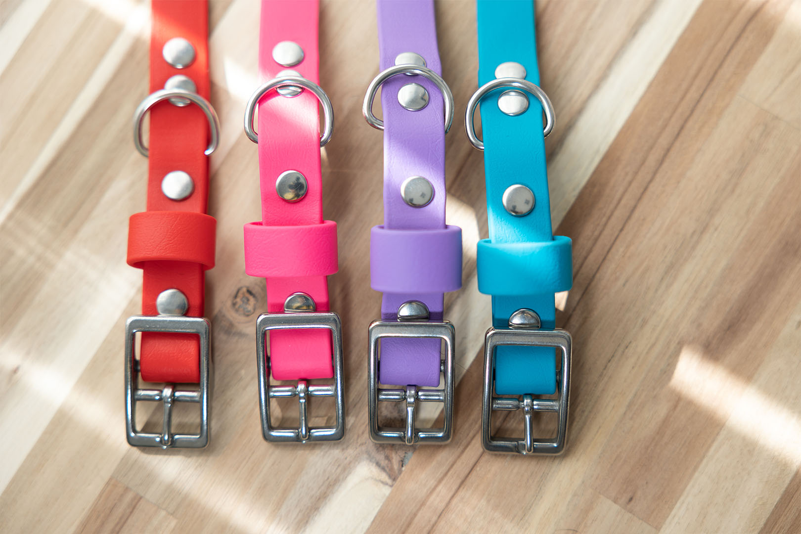 Brilliant Brights Collar