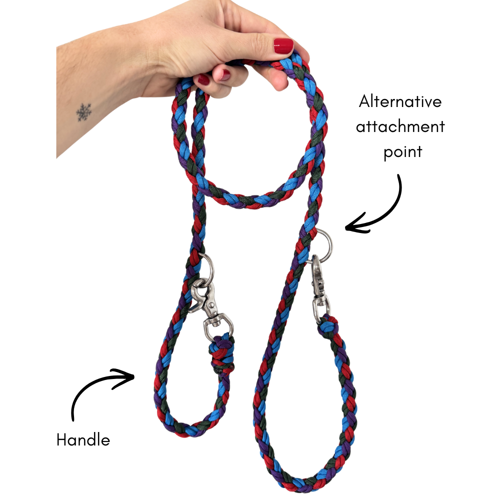 Custom Paracord Wildwoods Leash - Design your own