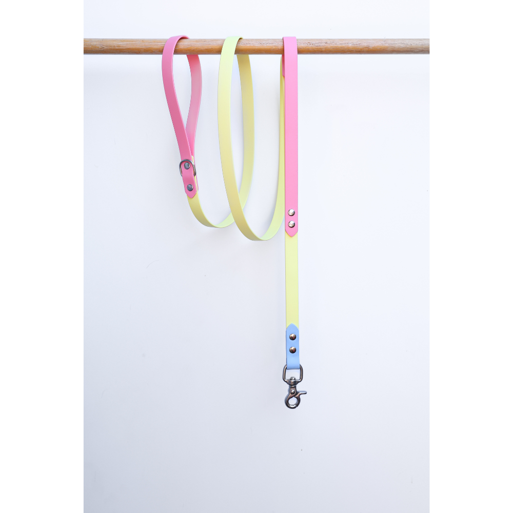 Two tone colorful dog leash on a white background