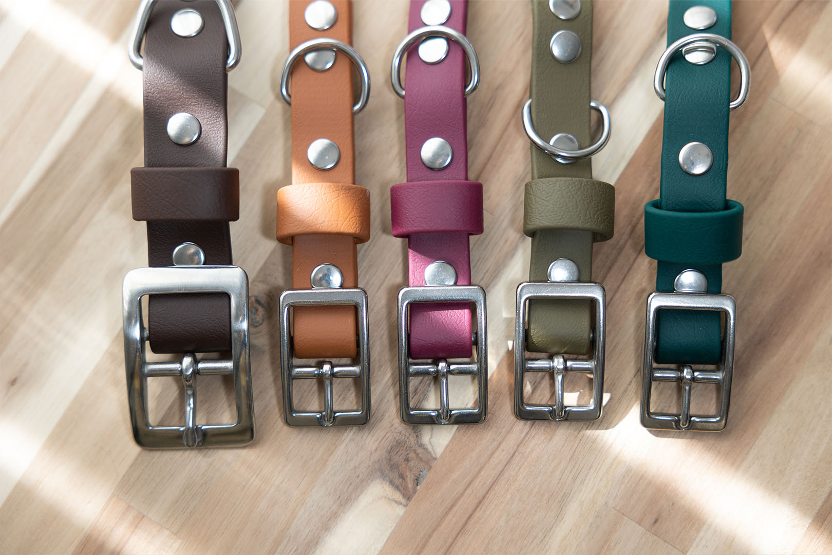 biothane-dog-collars-stainless-steel-hardware-multiple-colours