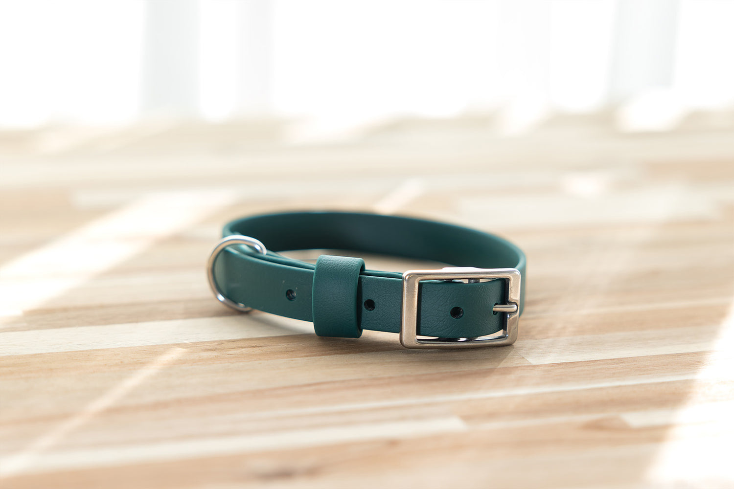 emerald-green-biothane-dog-collar-stainless-steel-hardware