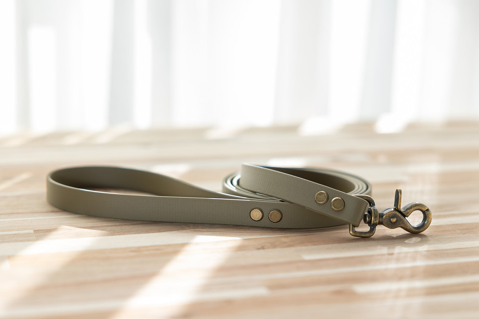 moss-biothane-dog-lead-antique-brass-hardware