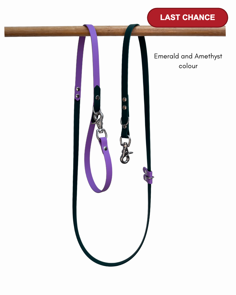 Emerald and amethyst 5 in 1 Biothane Dog Leash - Last Chance