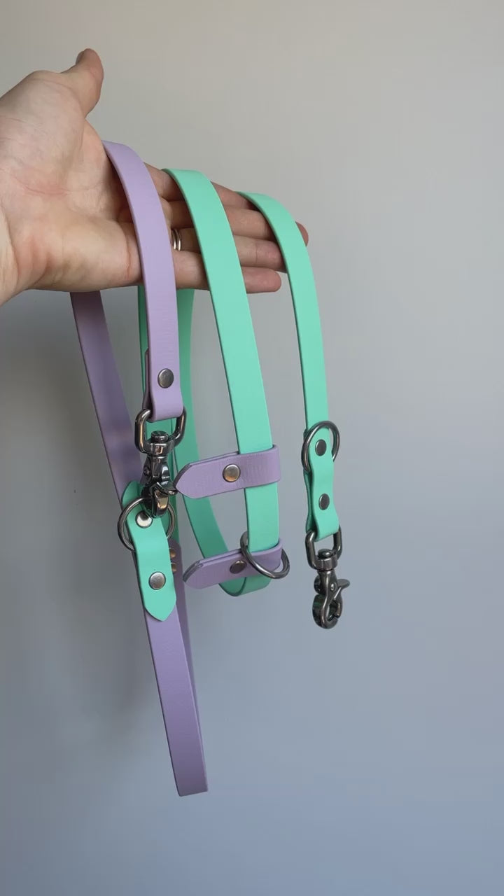 5 in 1 Multifunctional BioThane Dog Lead - Design Your Own