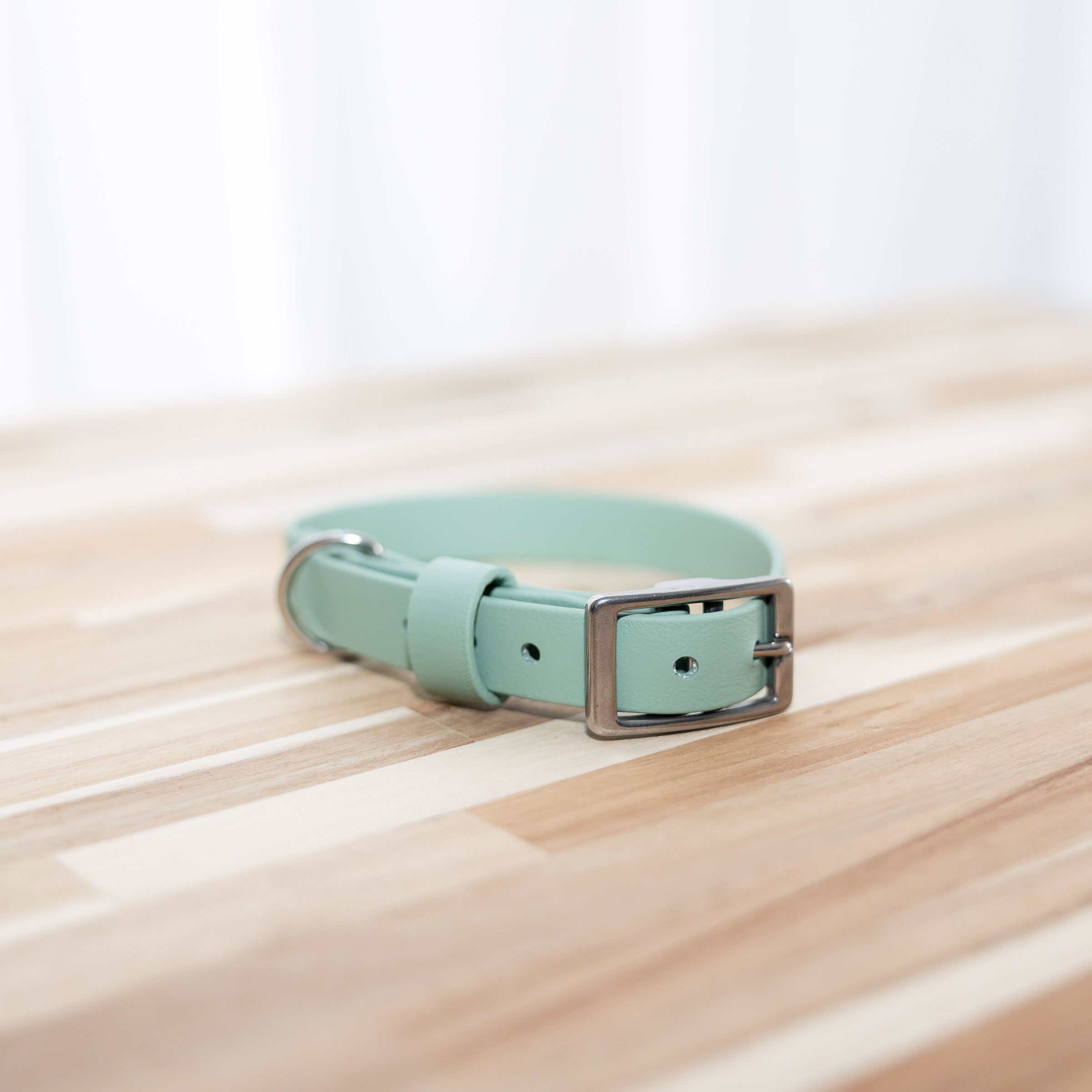 sage-biothane-dog-collar