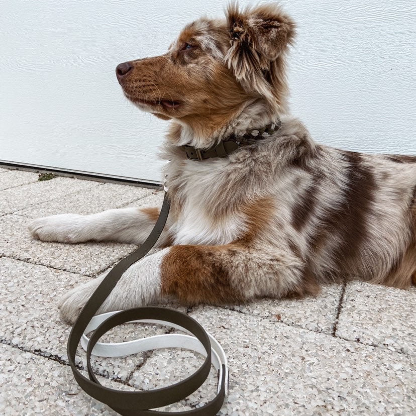 Design your own Biothane Leash