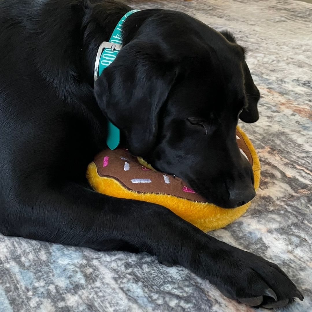 Zippy Paws Donut Toy Chocolate