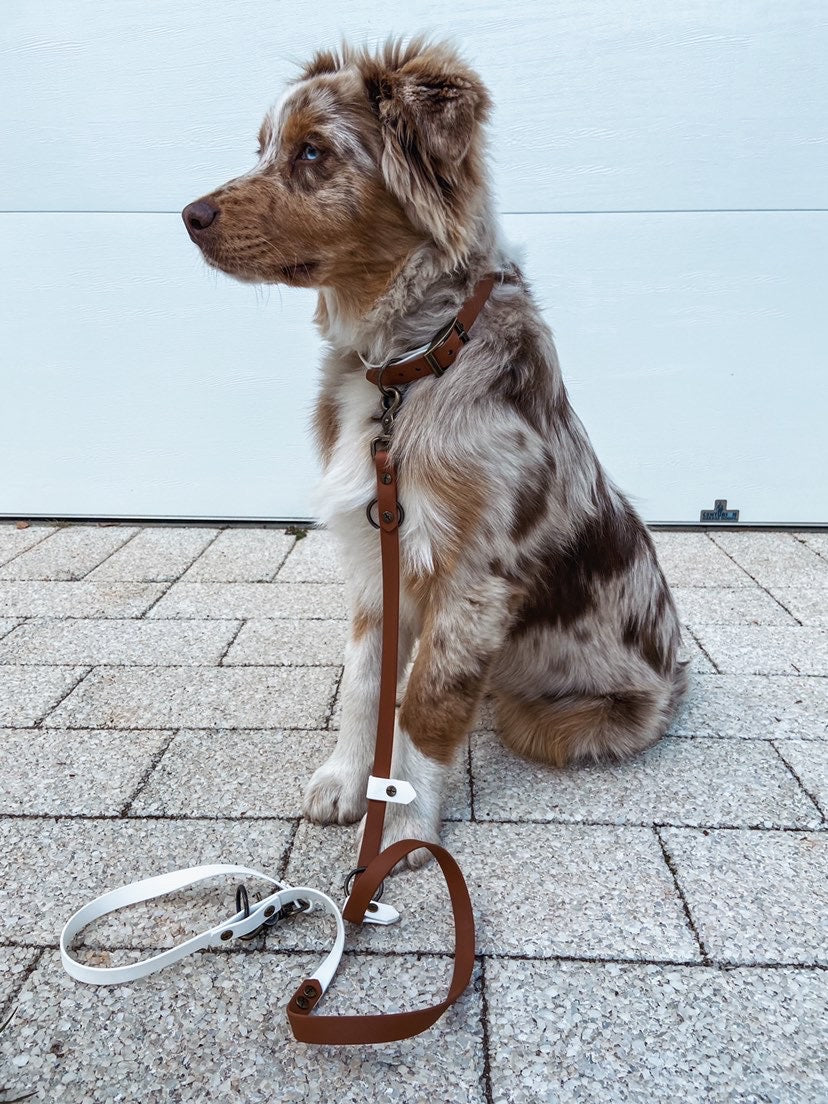 5 in 1 Multifunctional BioThane Dog Lead - Design Your Own
