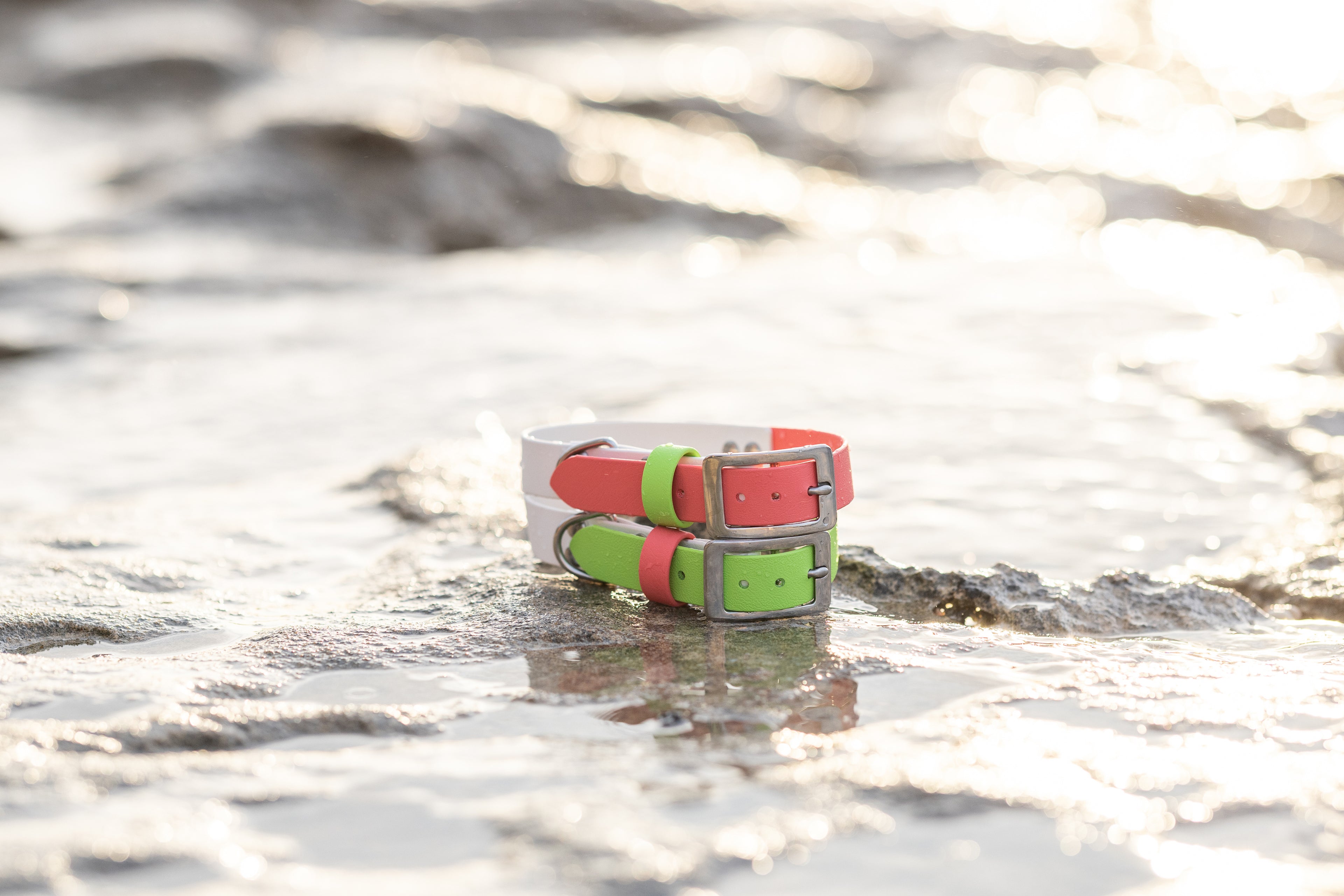 Coral and Green Biothane Collar
