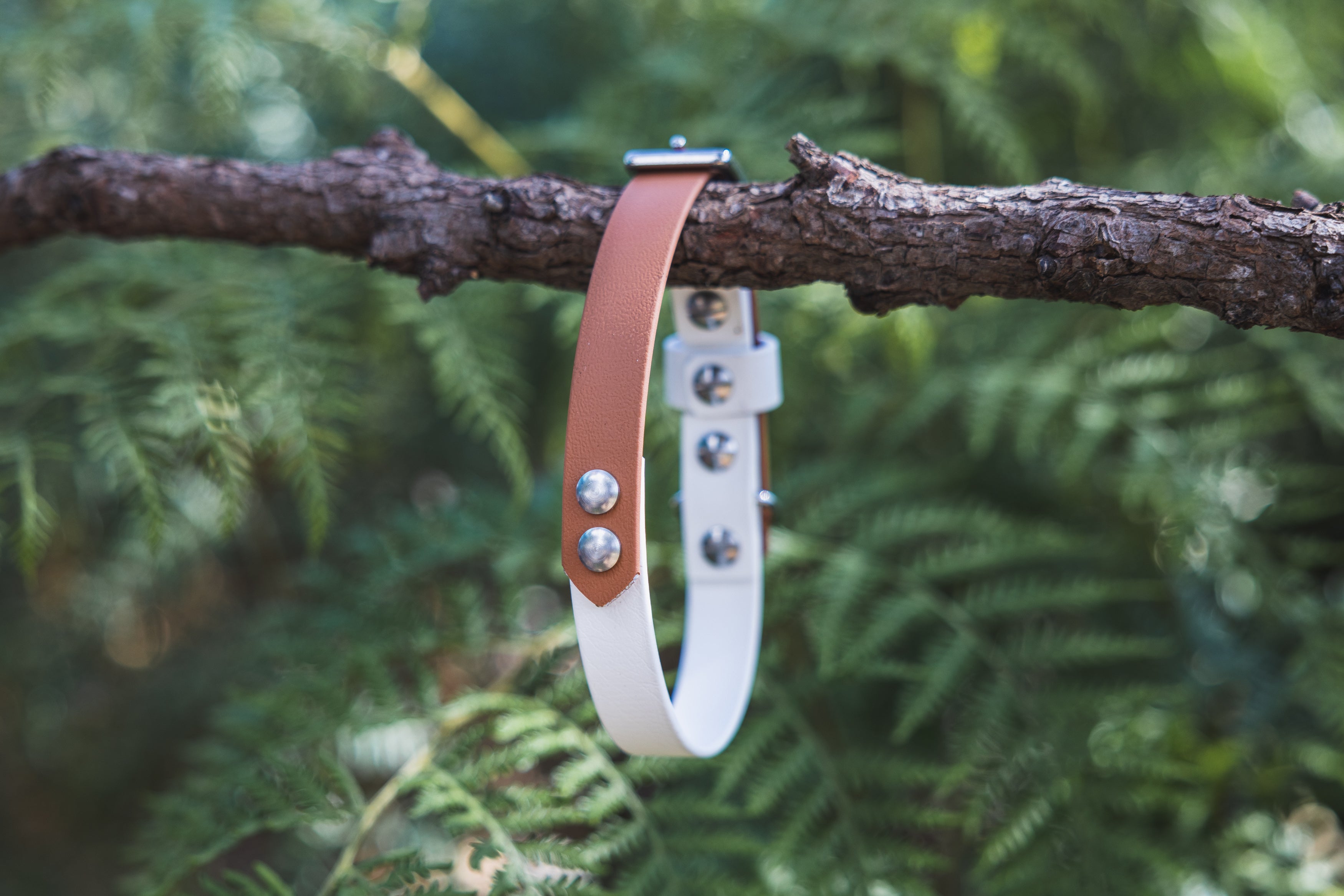 Custom BioThane Multi Tone Dog Collar – Design your own!