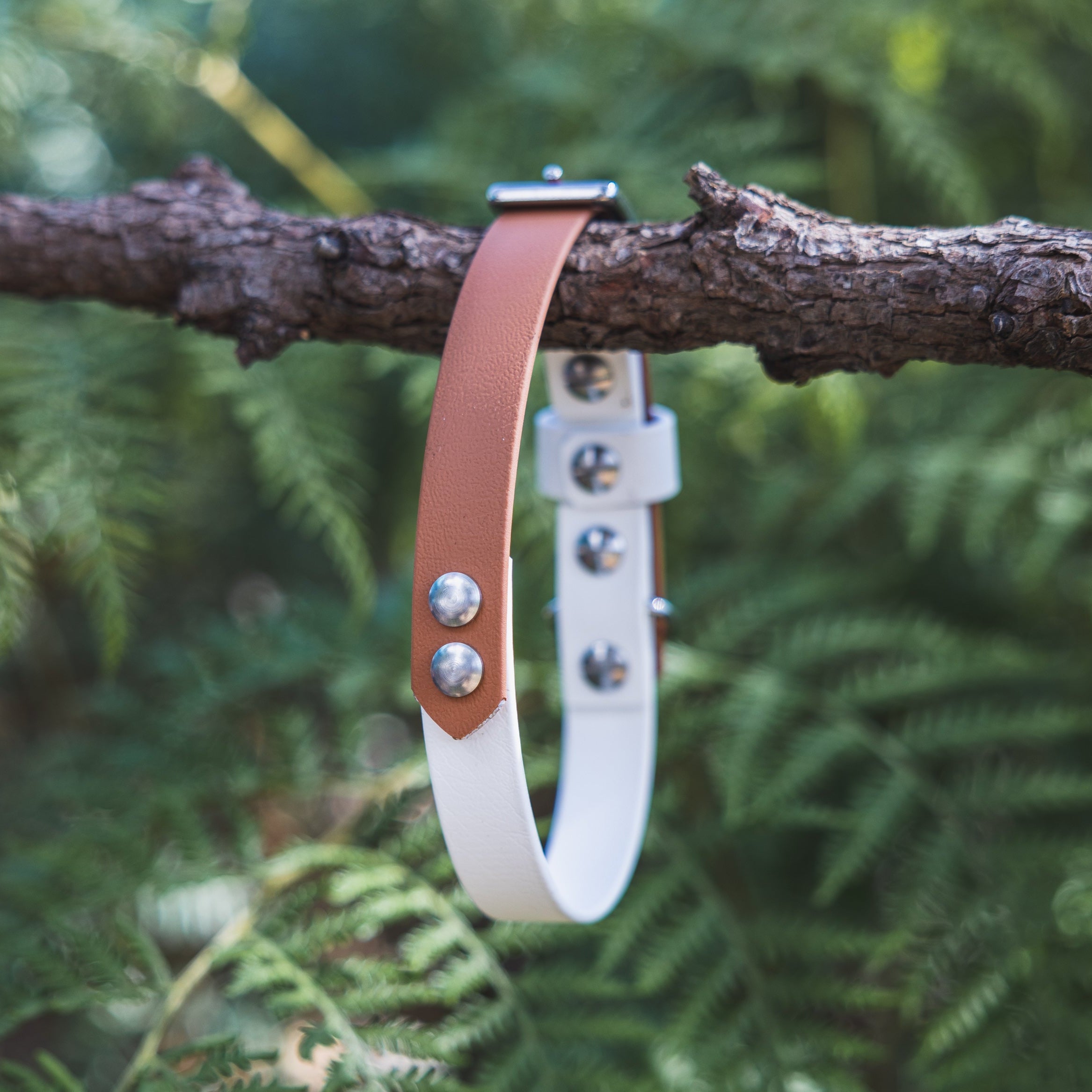 Waterproof Dog Collar Multi Tone – Design your own