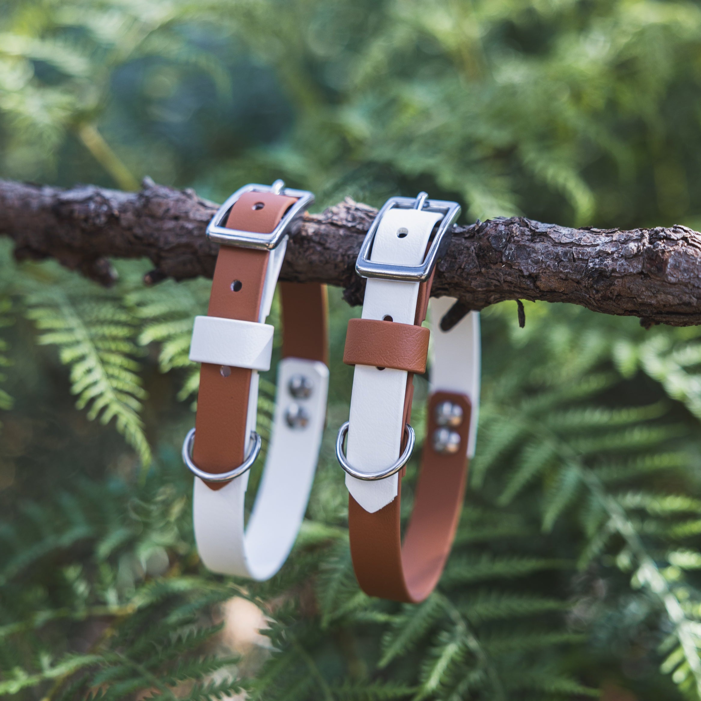 Waterproof Dog Collar Multi Tone – Design your own