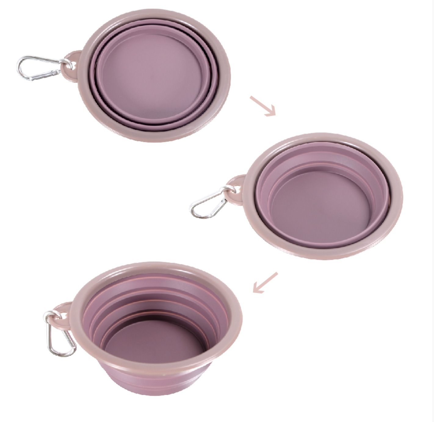 Quick Bite Collapsible Travel Pet Bowl