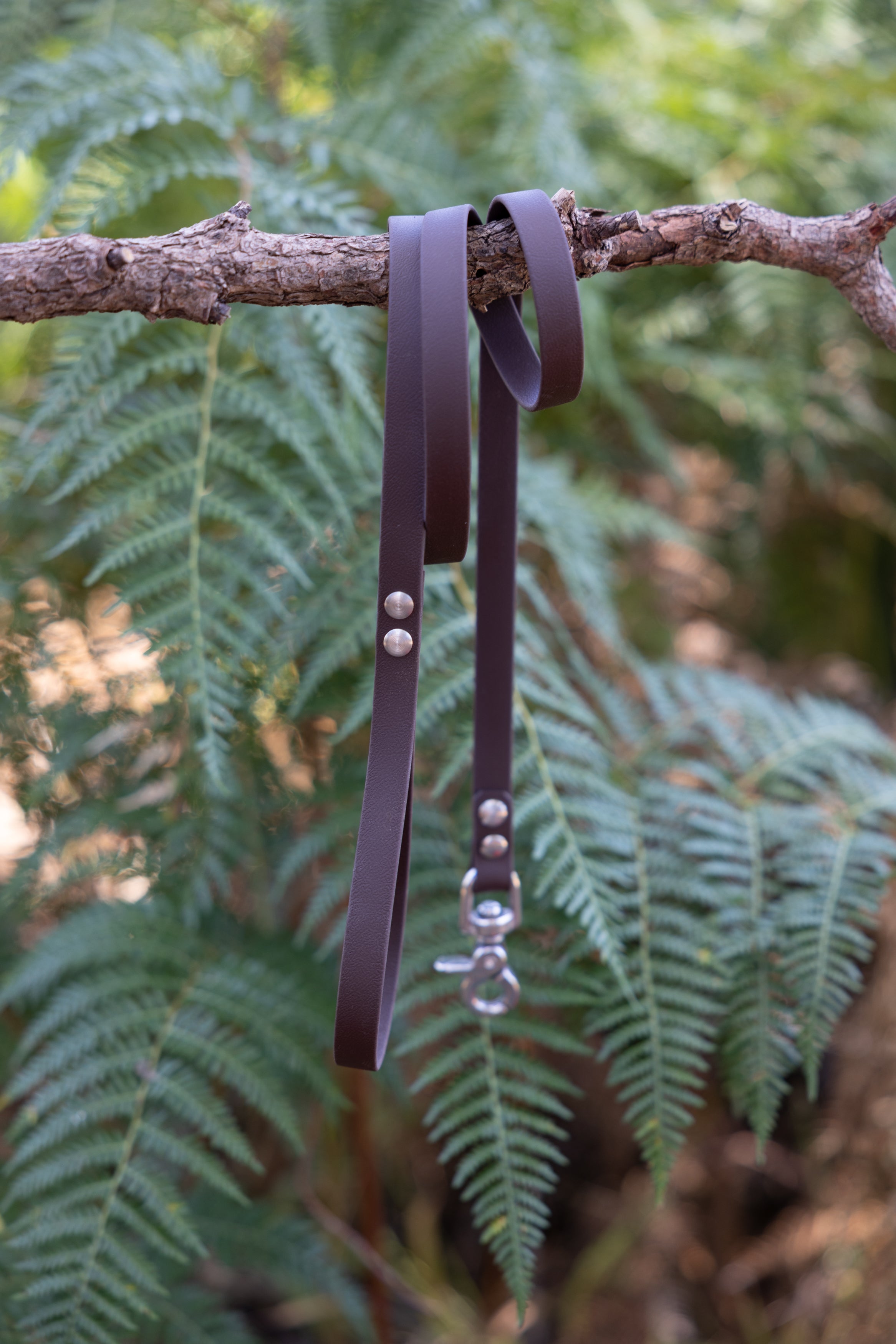 Dark Brown Bio Lead