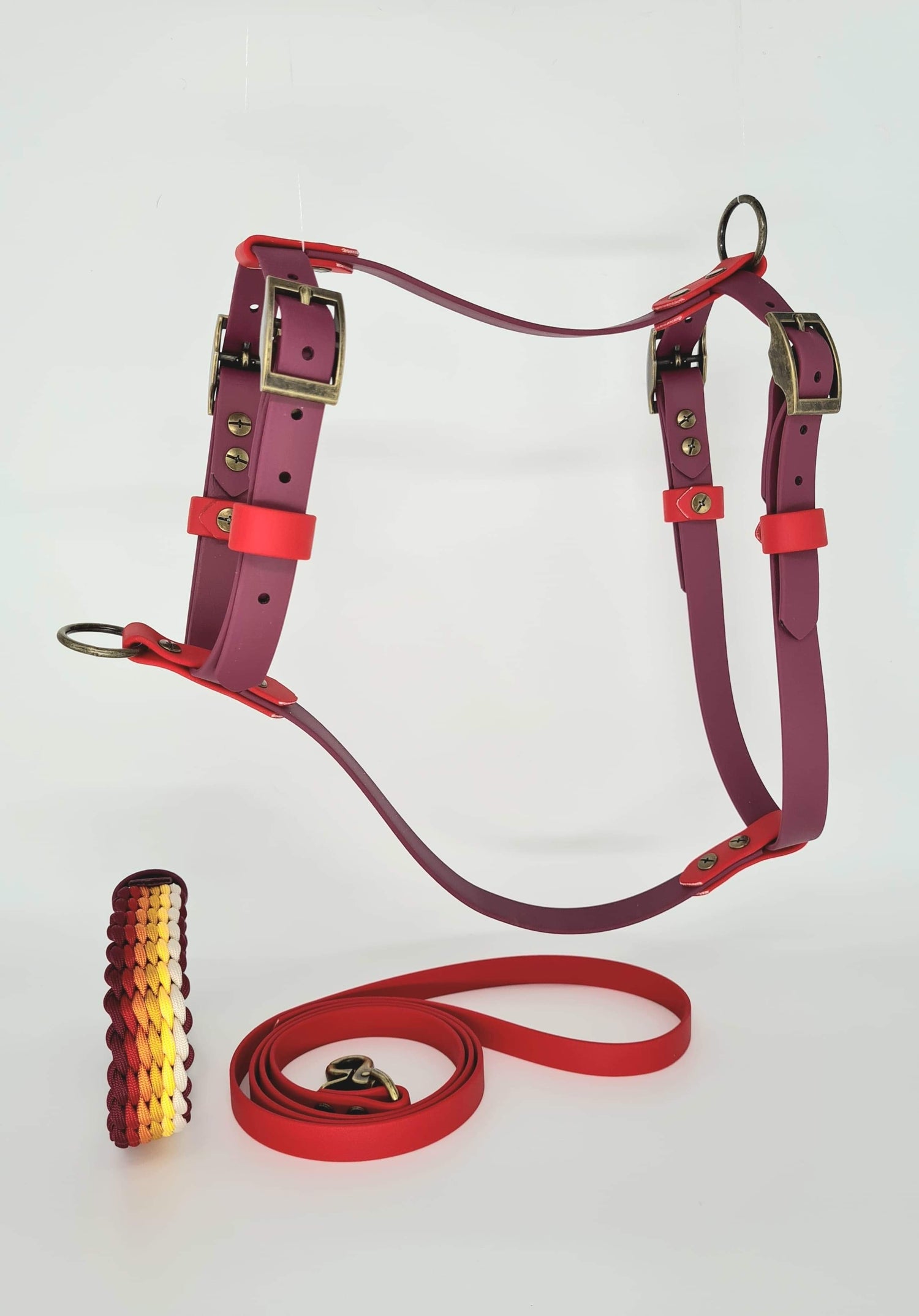 Custom BioThane Dog Harness &