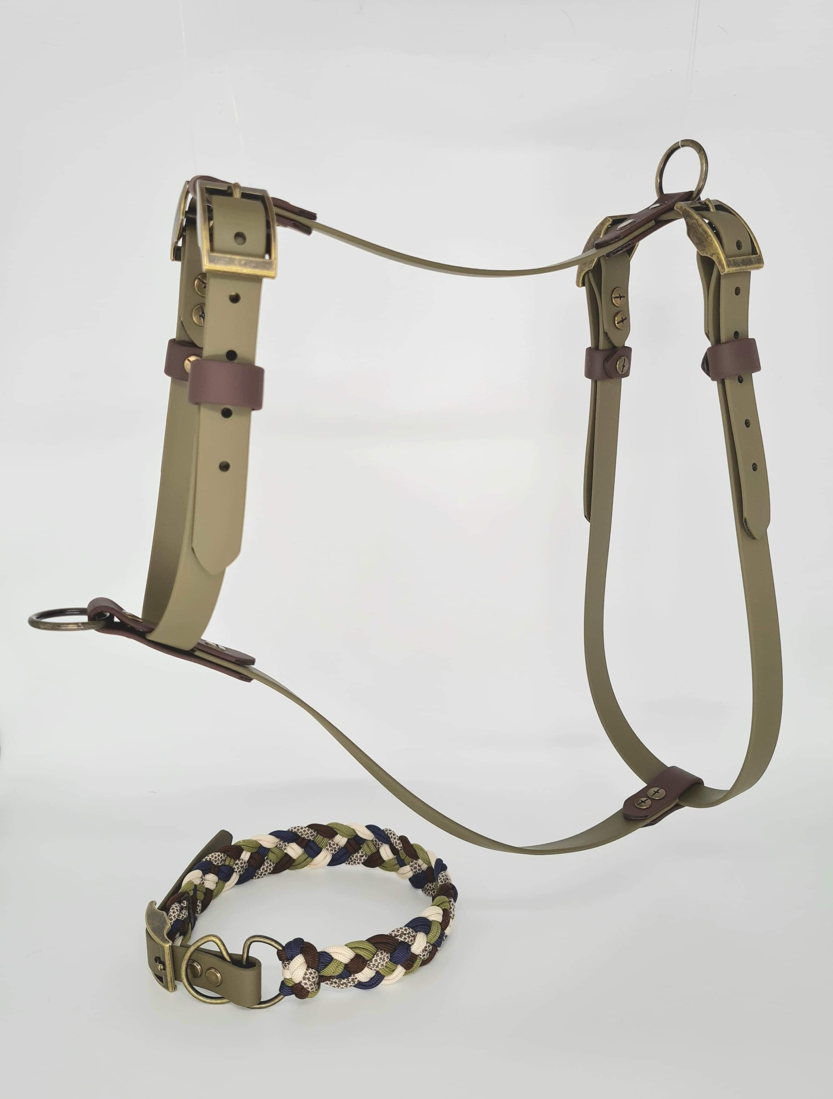 Custom BioThane Dog Harness &