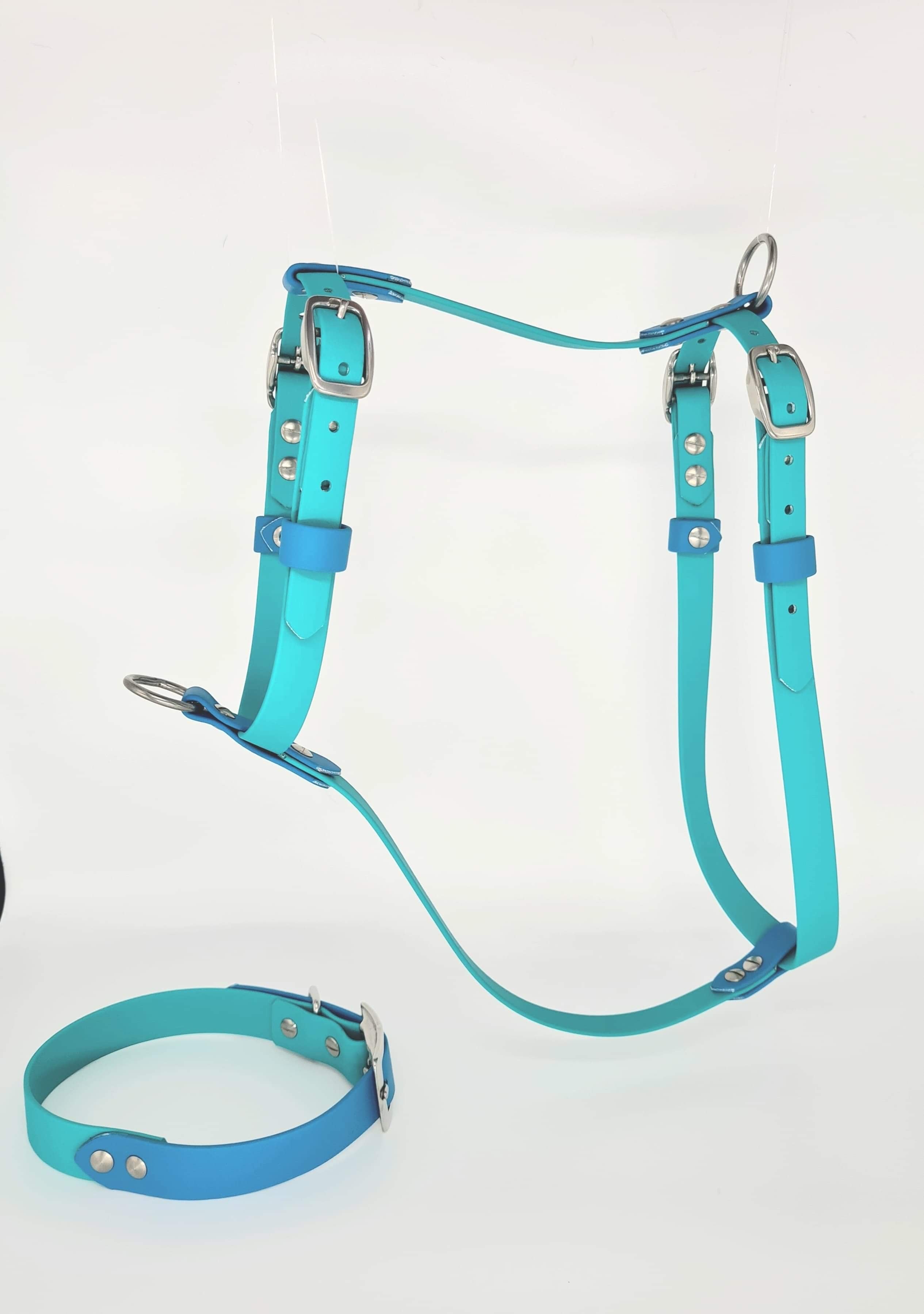 Custom BioThane Dog Harness &