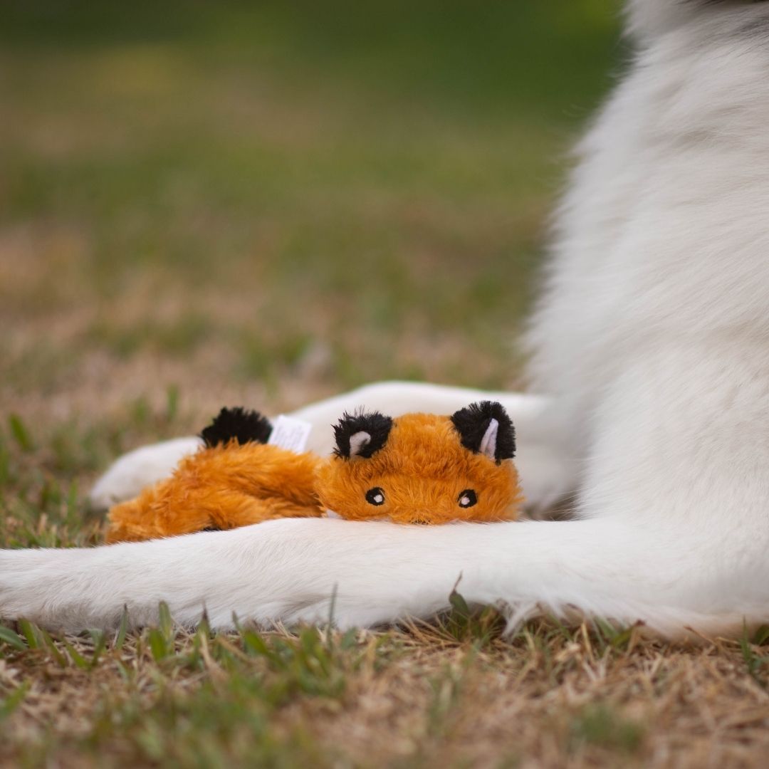 Zippy Paws Skinny Peltz Squeaker Dog Toy - Large