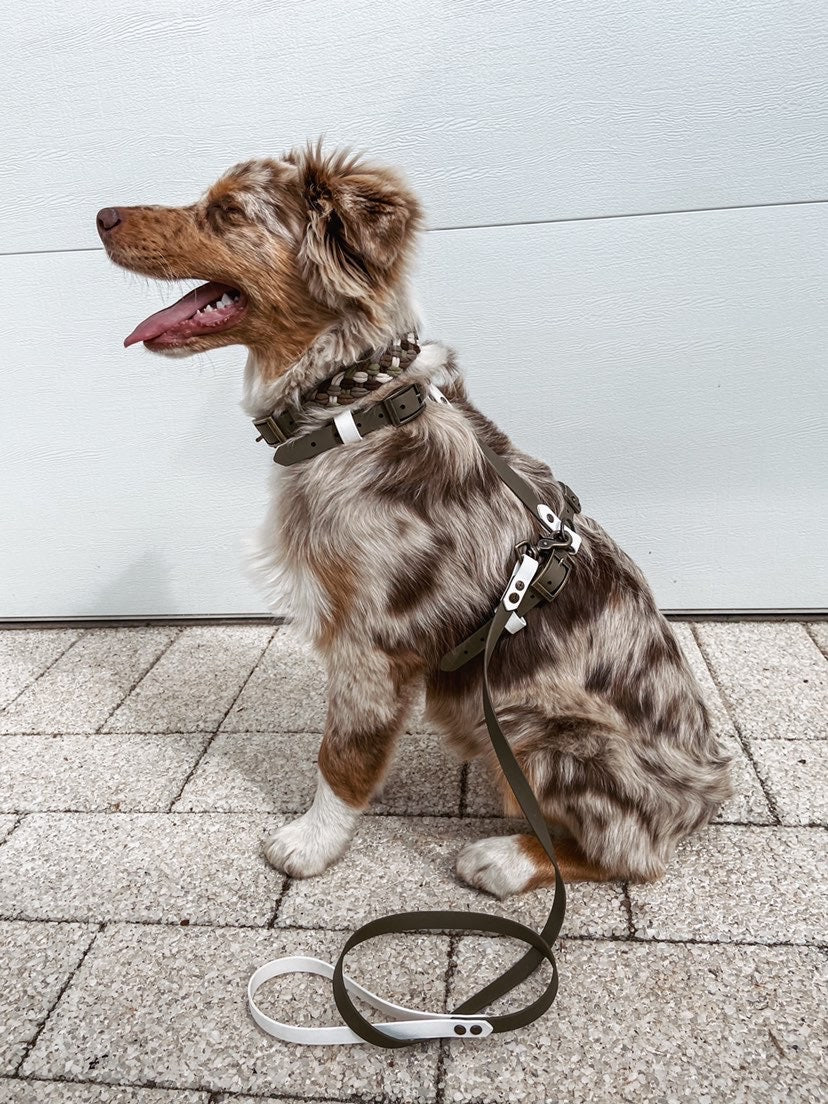 Custom BioThane Dog Harness &