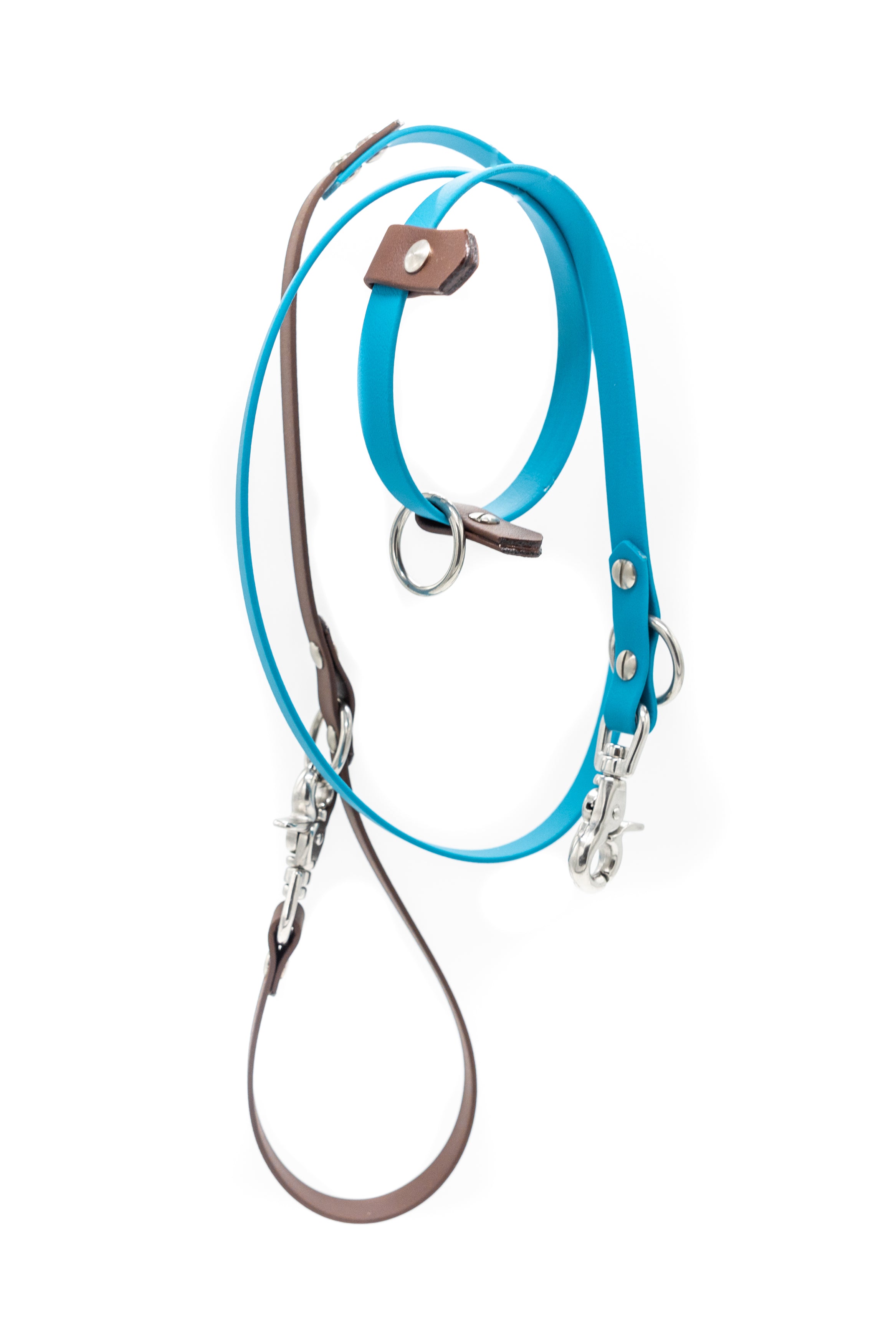 5 in 1 Multifunctional BioThane Dog Lead - Design Your Own