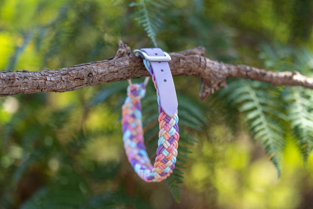 Pastels Paracord Collar