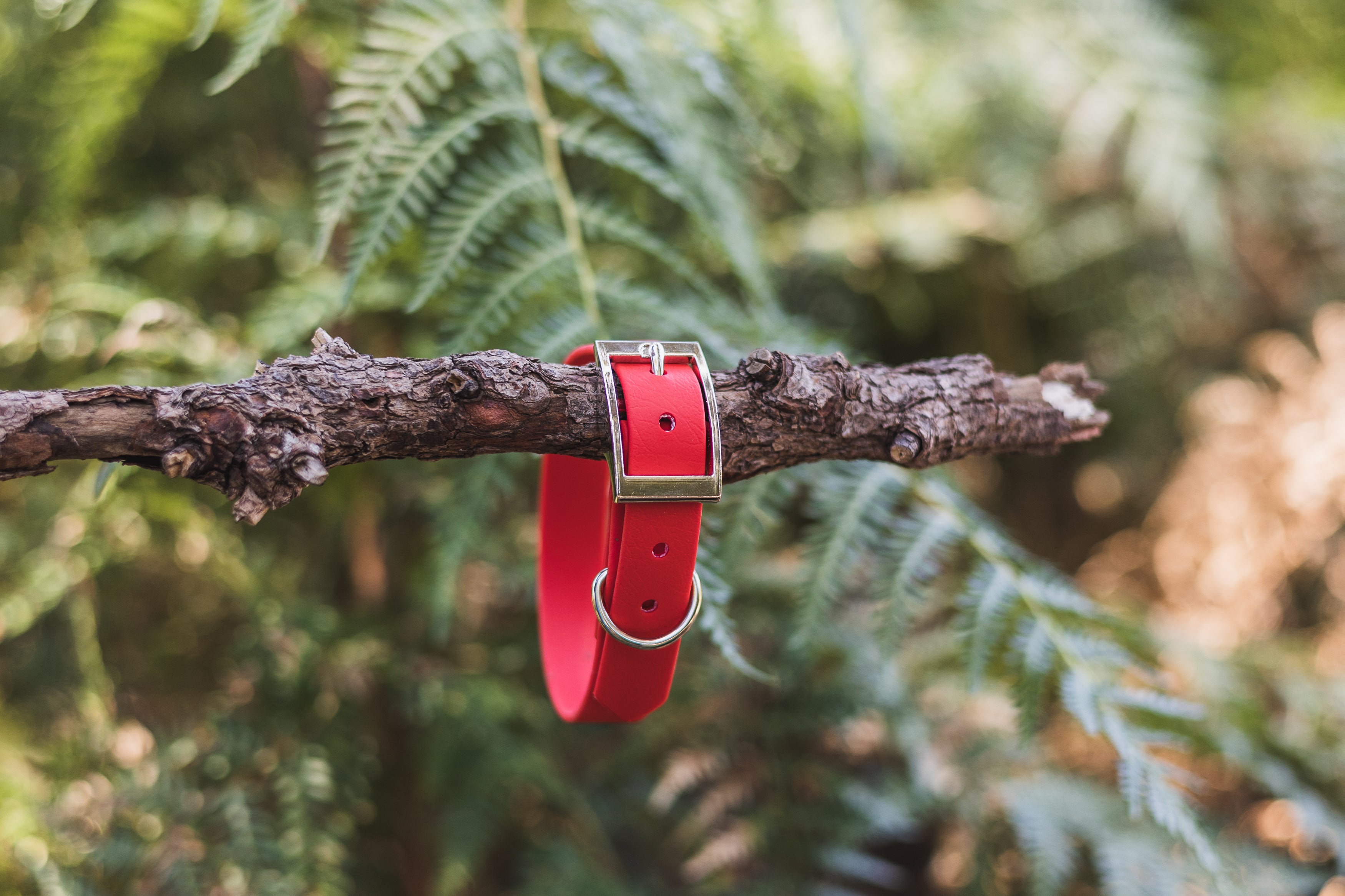 Red Biothane Collar